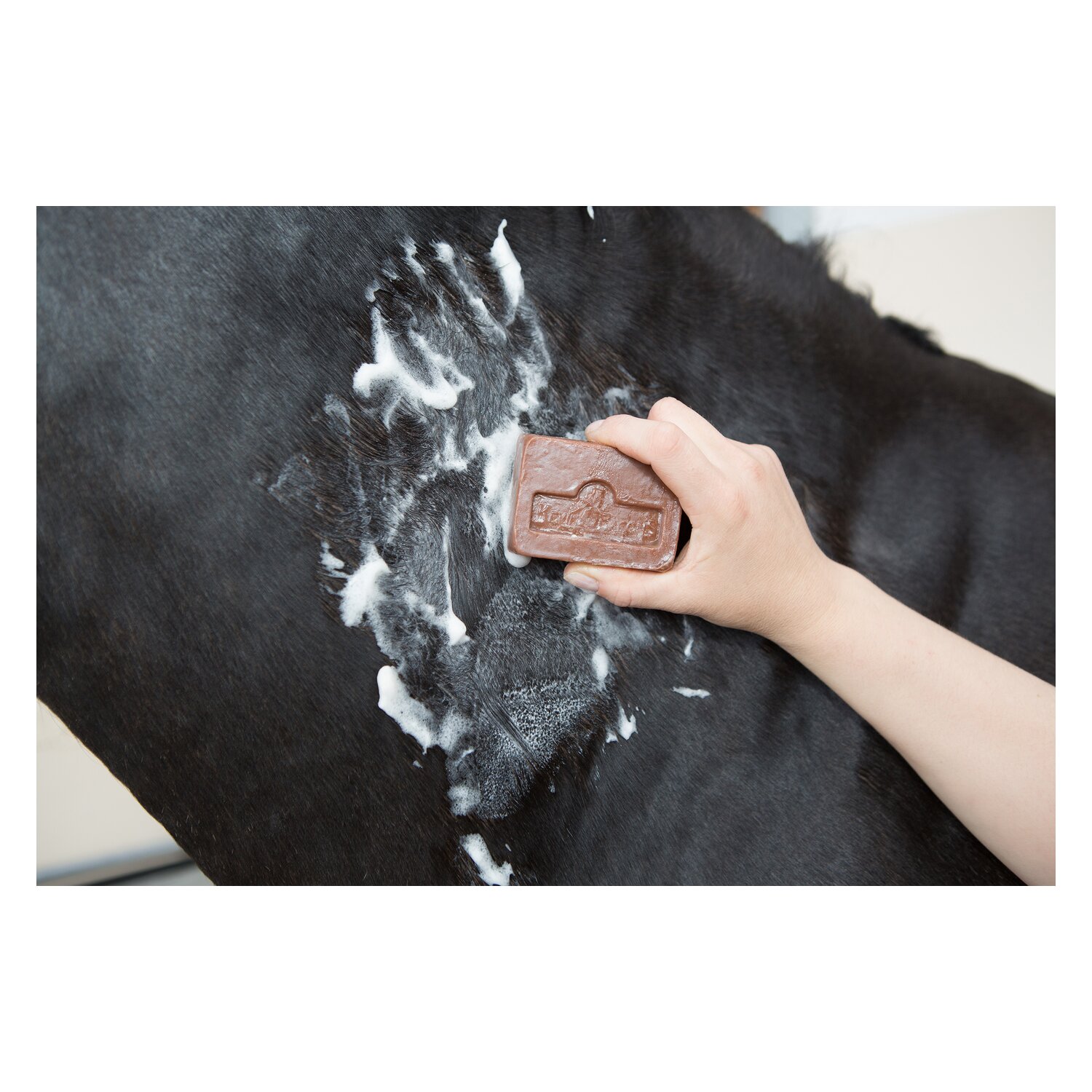 Kevin Bacon's Active Soap &ndash; Ansicht 3