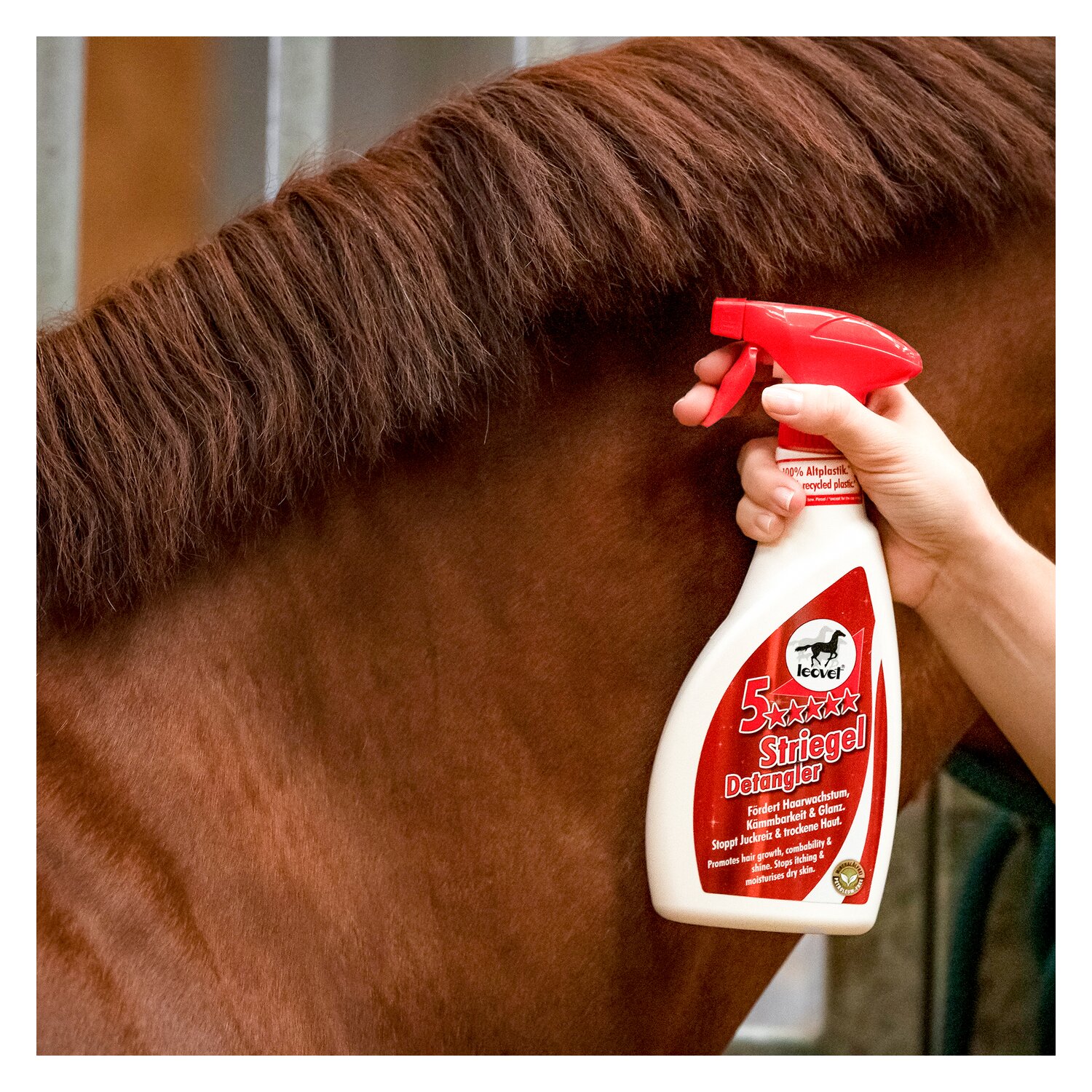 leovet 5-Sterne Striegel Mähnenspray – Ansicht 3