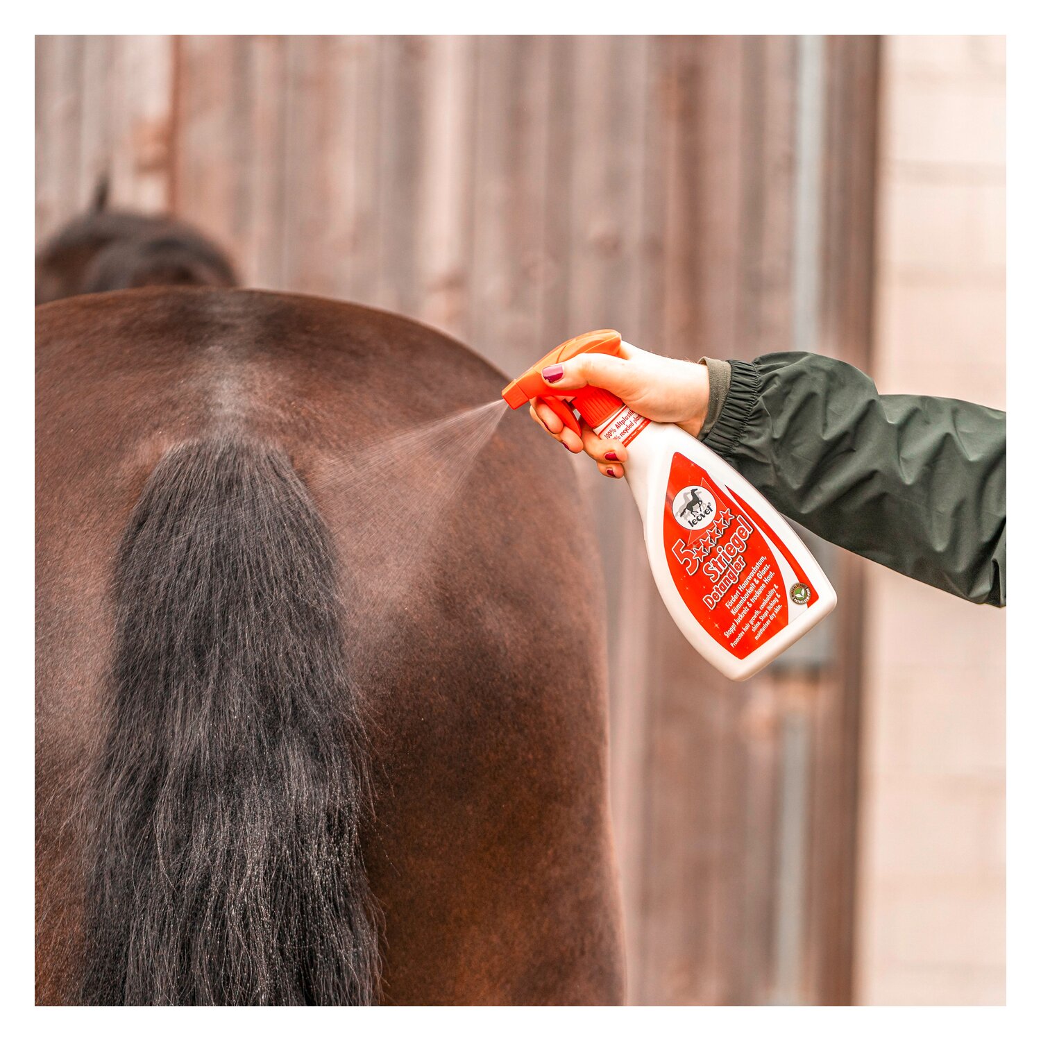 leovet 5-Sterne Striegel Mähnenspray – Ansicht 4