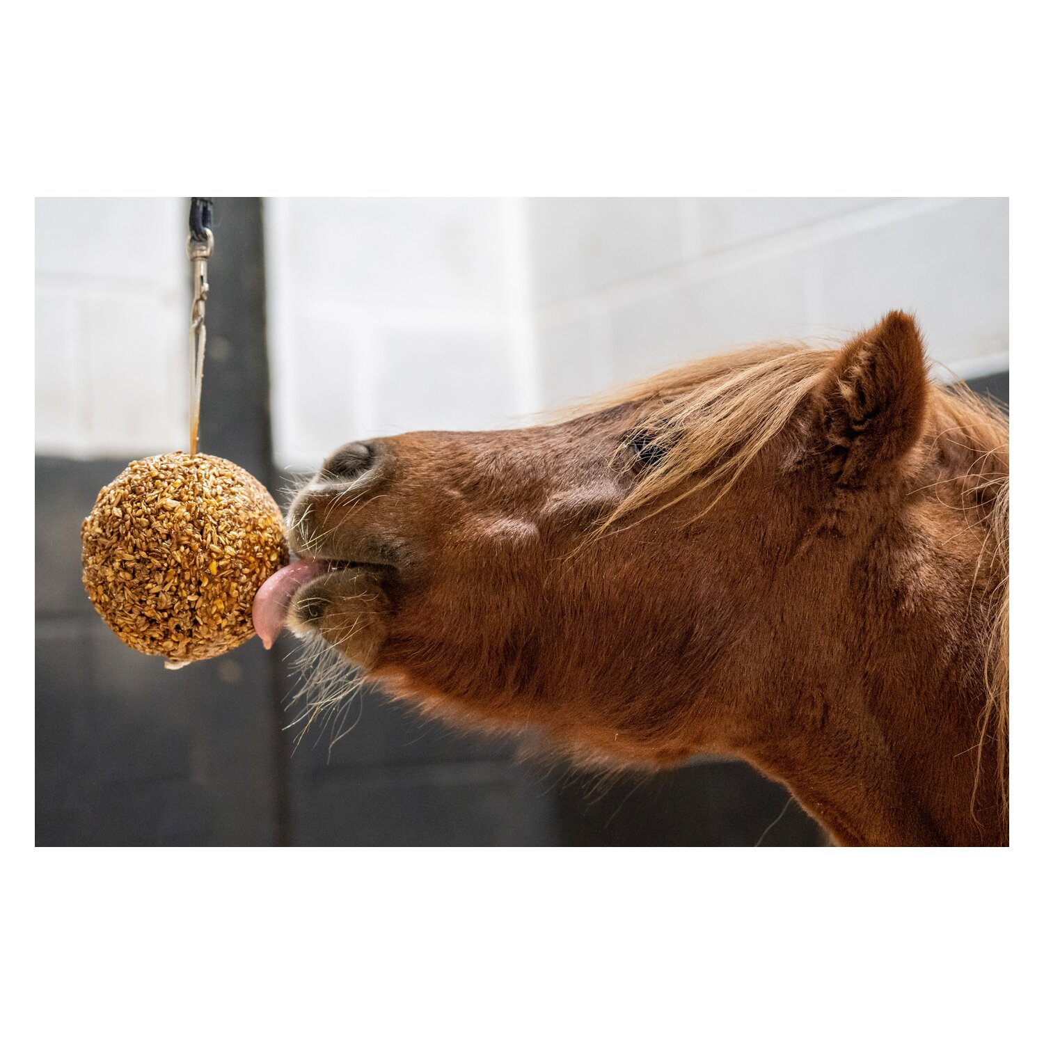 Likit Müslikugel – Ansicht 3