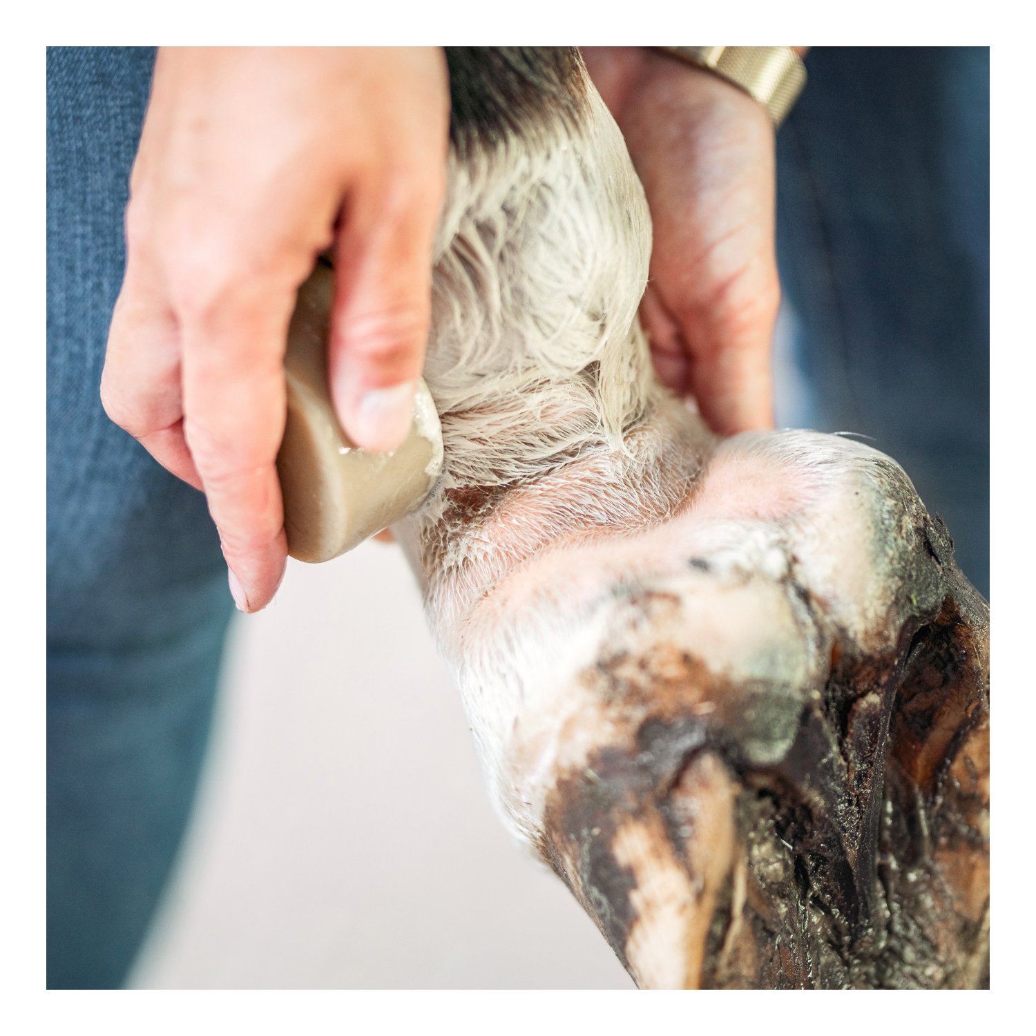 BENSE & EICKE HautFein Seife im Sack – Ansicht 3