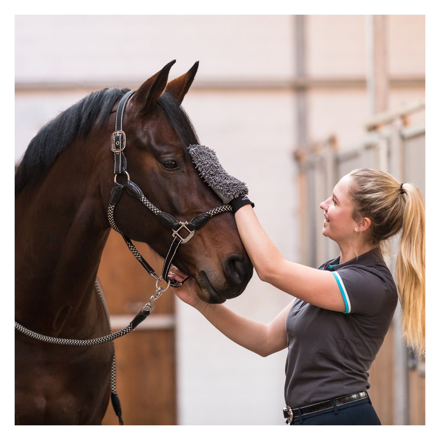 EQUINE-MICROTEC Pflegehandschuh-Set – Ansicht 2