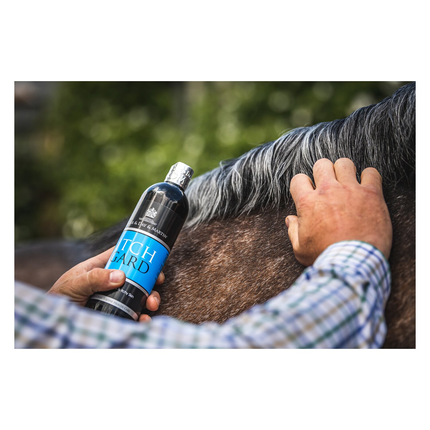 CARR & DAY & MARTIN ItchGard – Ansicht 2