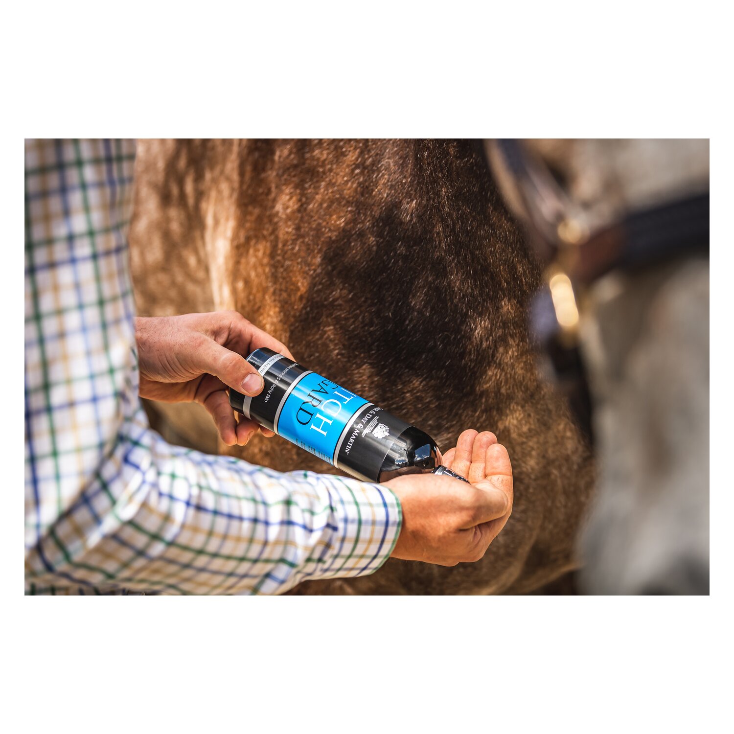 CARR & DAY & MARTIN ItchGard – Ansicht 3