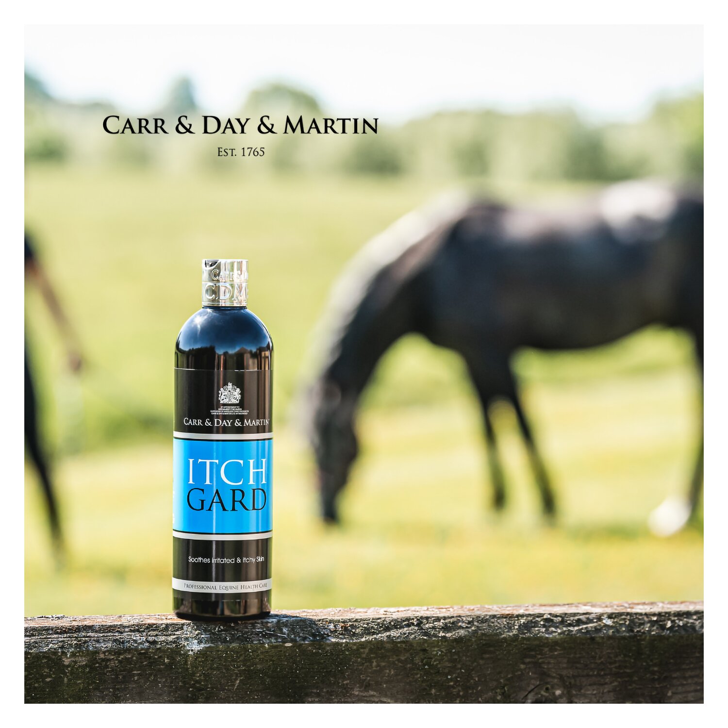 CARR & DAY & MARTIN ItchGard – Ansicht 4