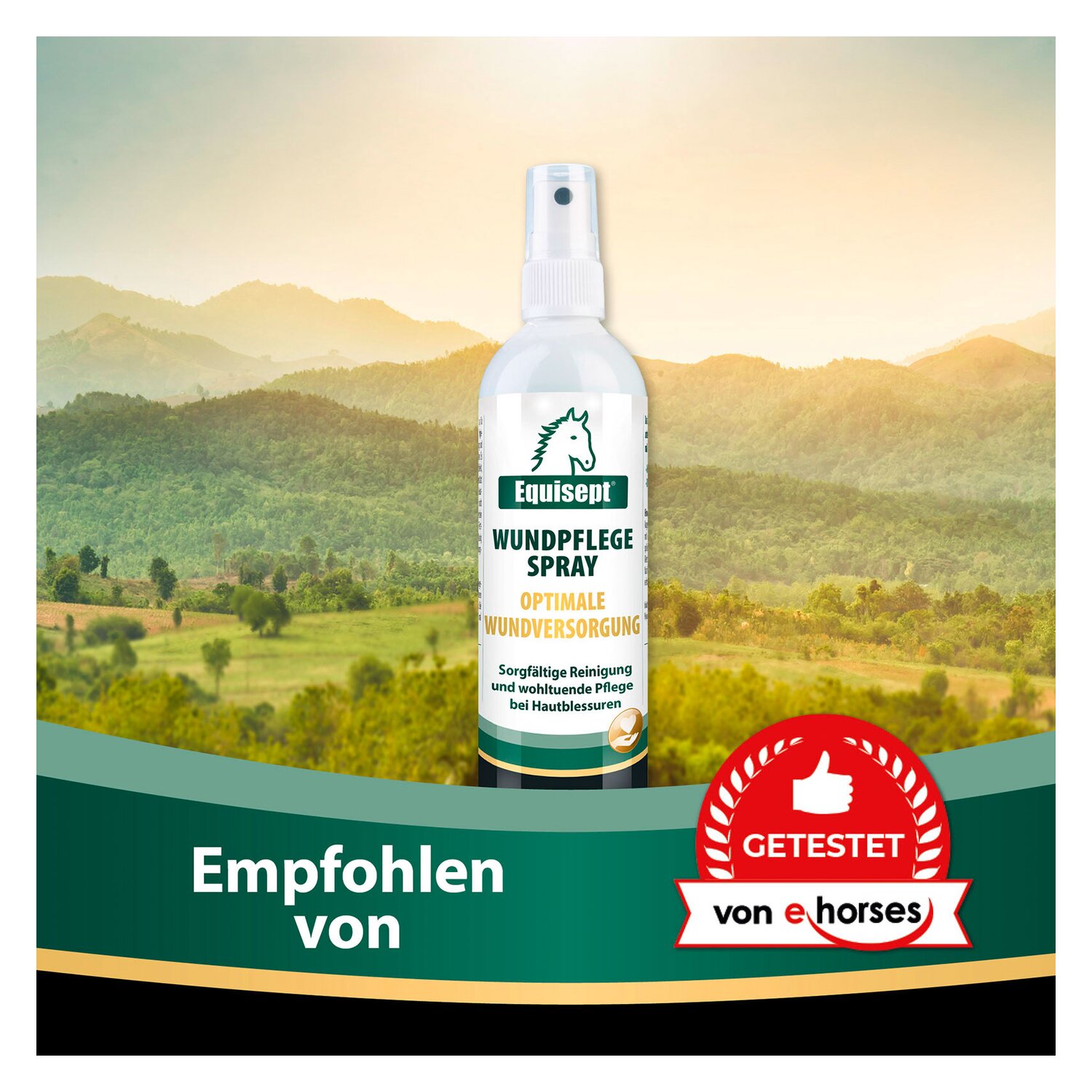 Equisept Wundpflegespray – Ansicht 2