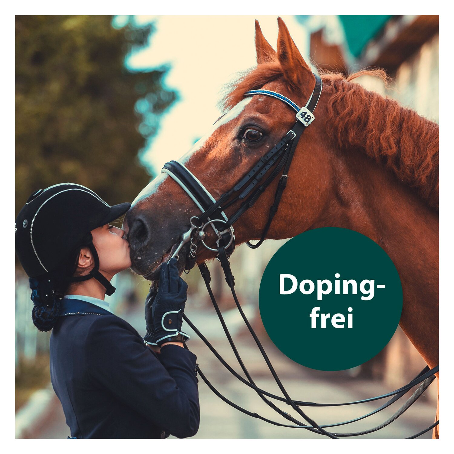 Equisept Wundpflegespray – Ansicht 3