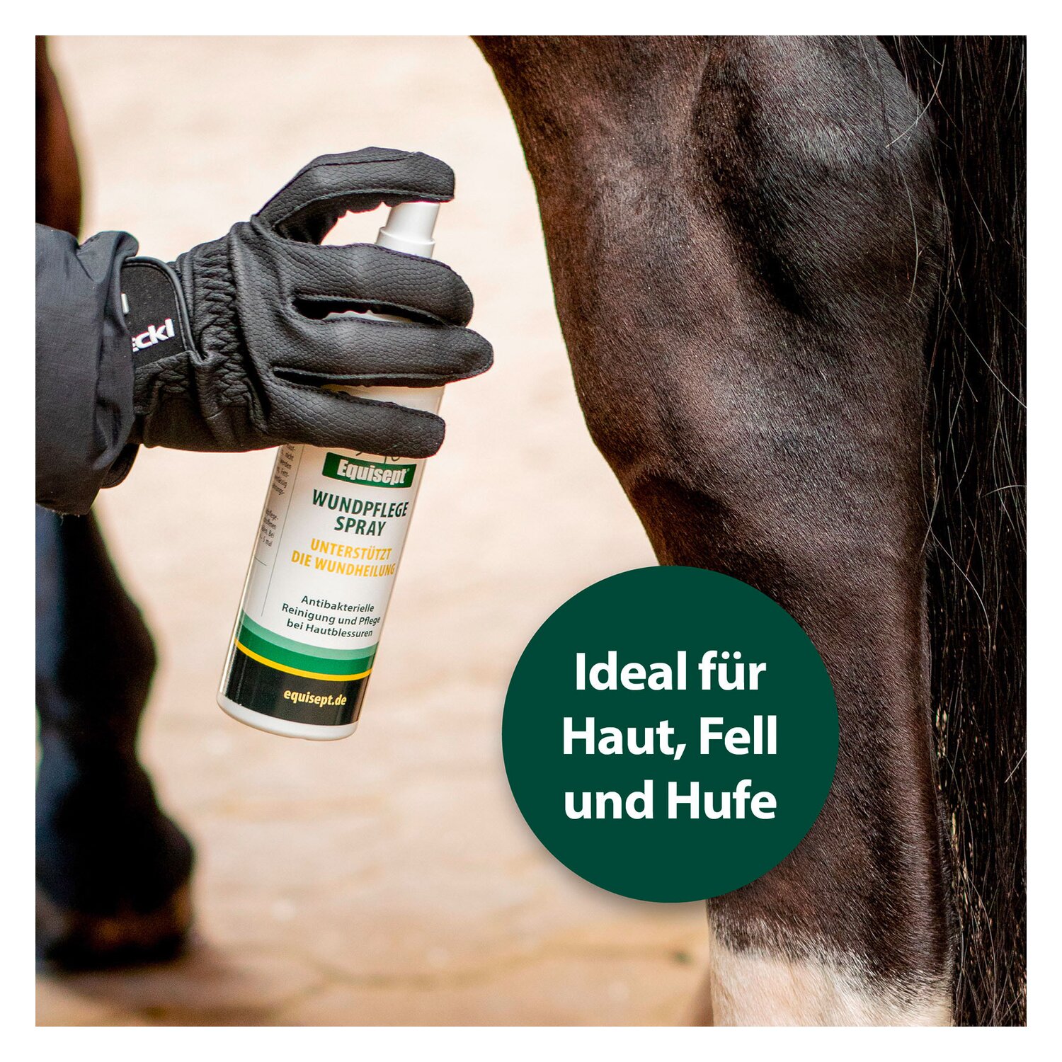 Equisept Wundpflegespray – Ansicht 5
