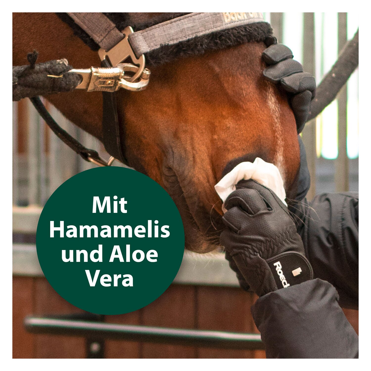 Equisept Universal Pflegetücher für Pferde – Ansicht 4