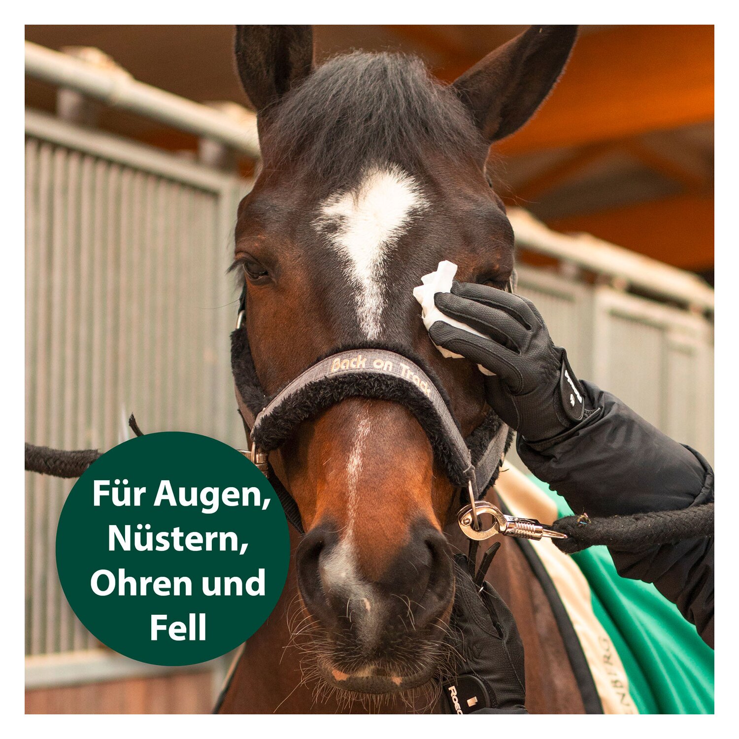 Equisept Universal Pflegetücher für Pferde – Ansicht 3
