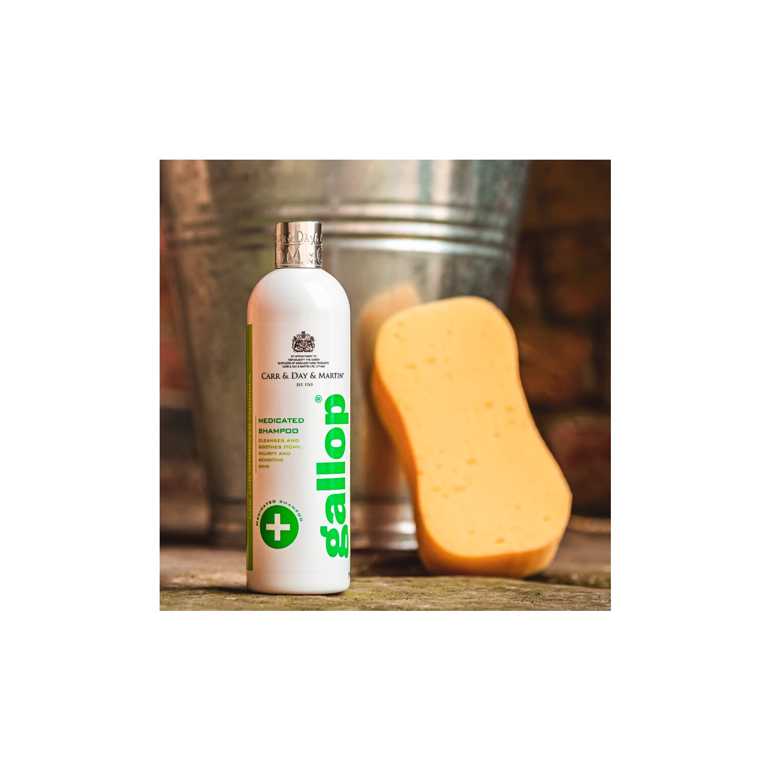 CARR & DAY & MARTIN Medizinisches Shampoo Gallop – Ansicht 2