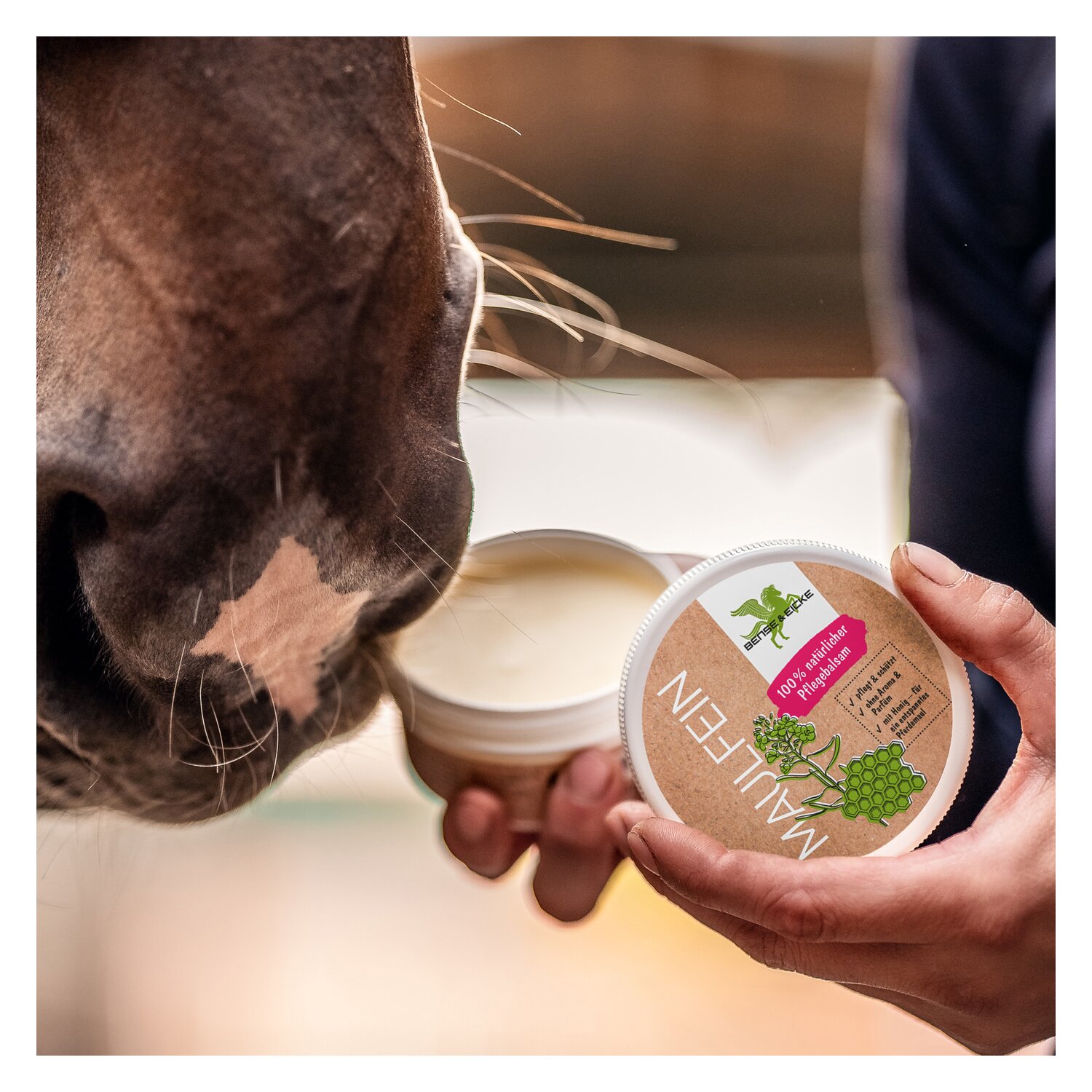 BENSE & EICKE Maulfein – Ansicht 4