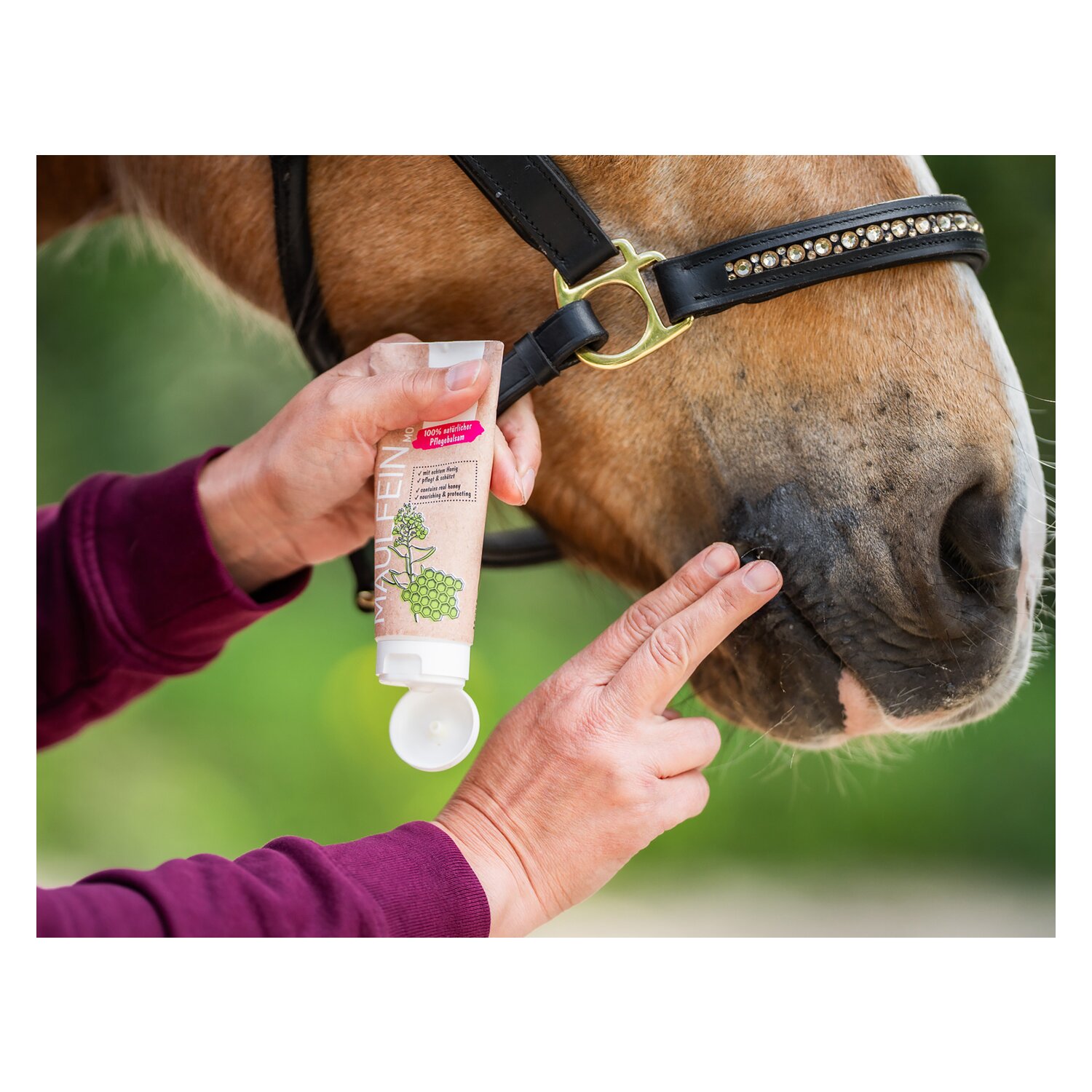 BENSE & EICKE Maulfein – Ansicht 3