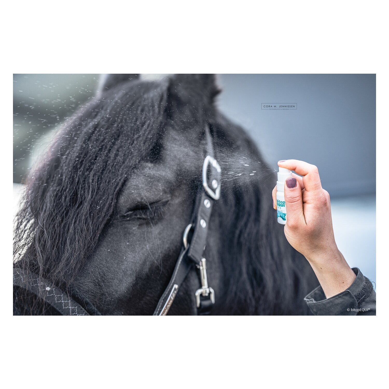 bitopEQUI Eye-Spray – Ansicht 2