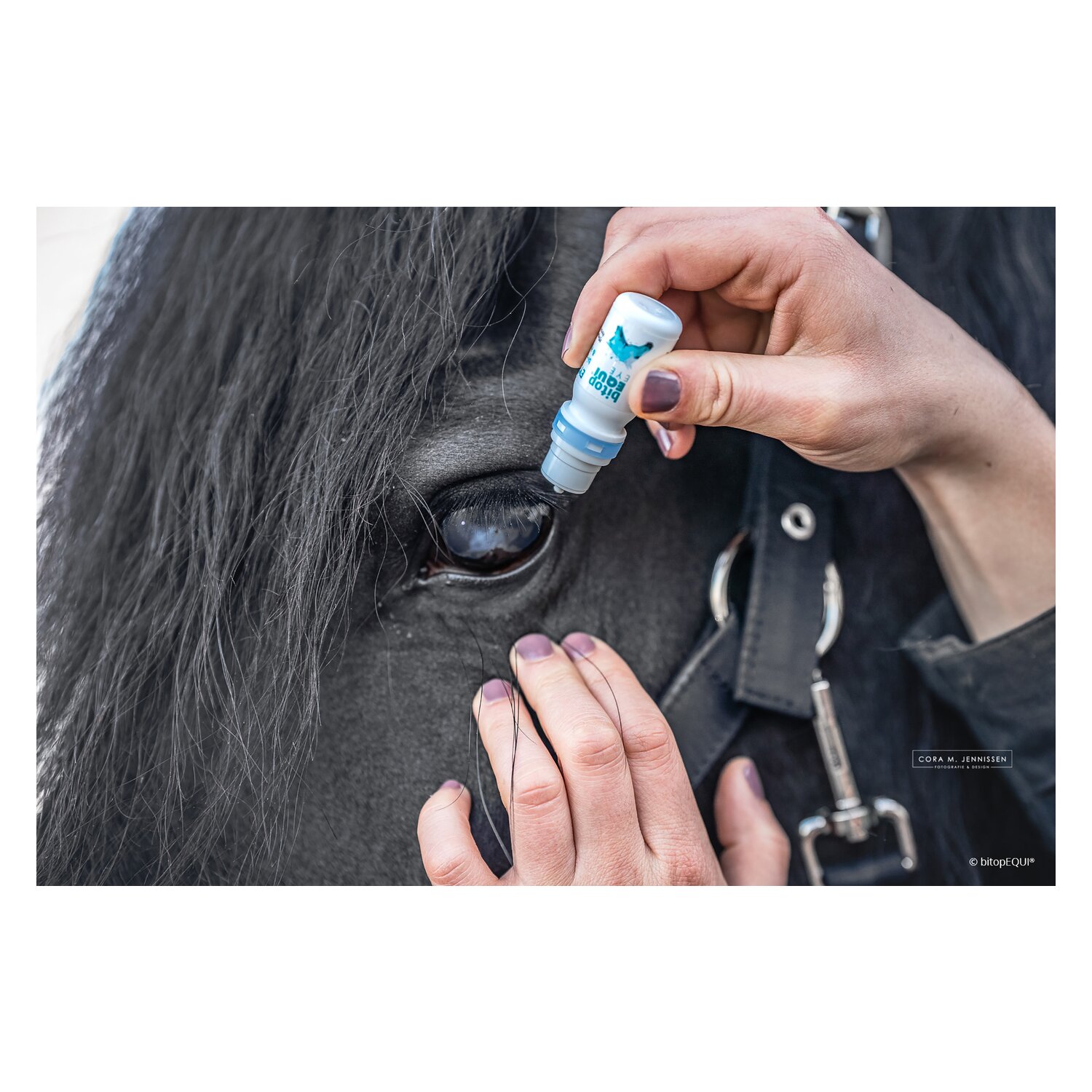 bitopEQUI EYE-Care – Ansicht 3