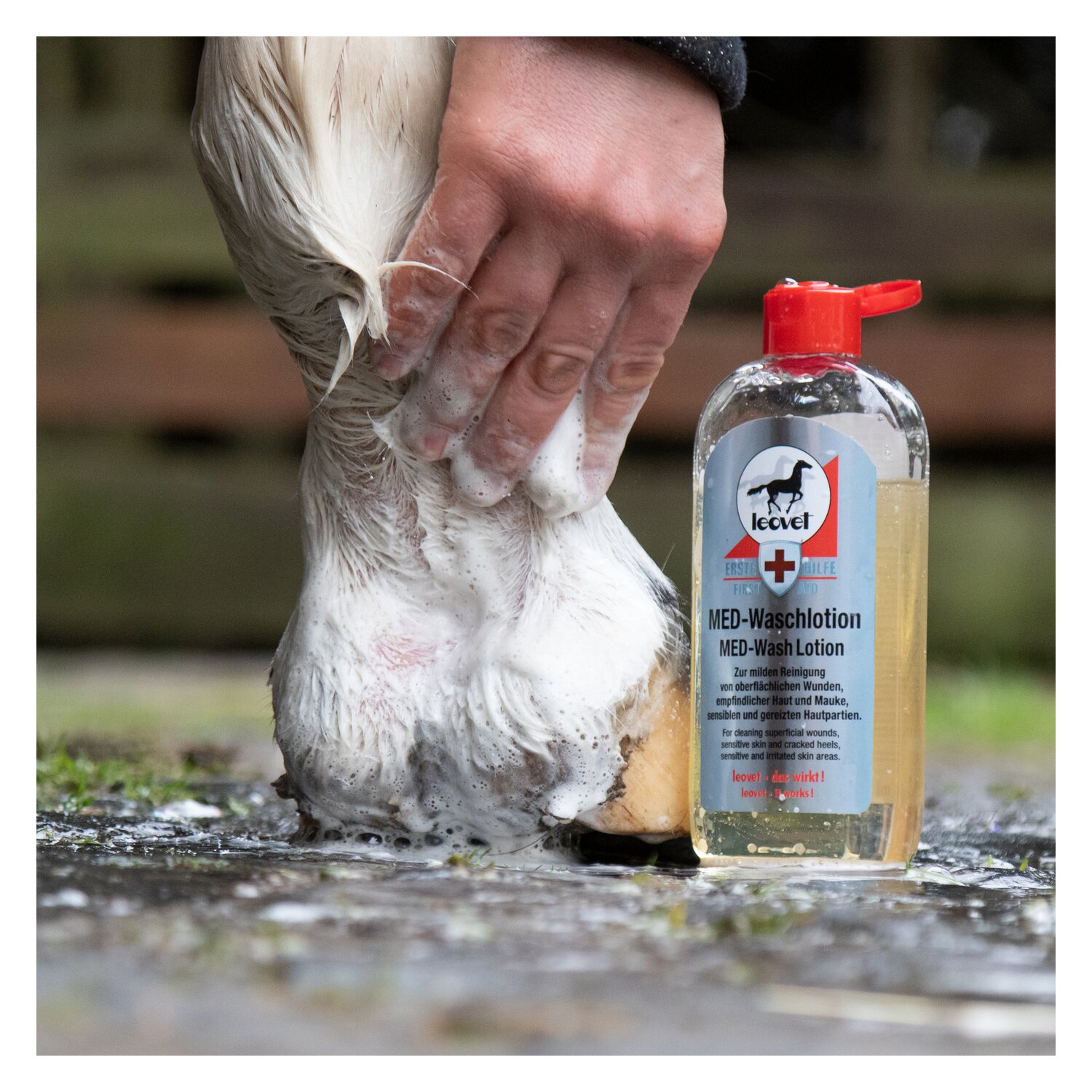 leovet MED-Waschlotion Erste Hilfe – Ansicht 2