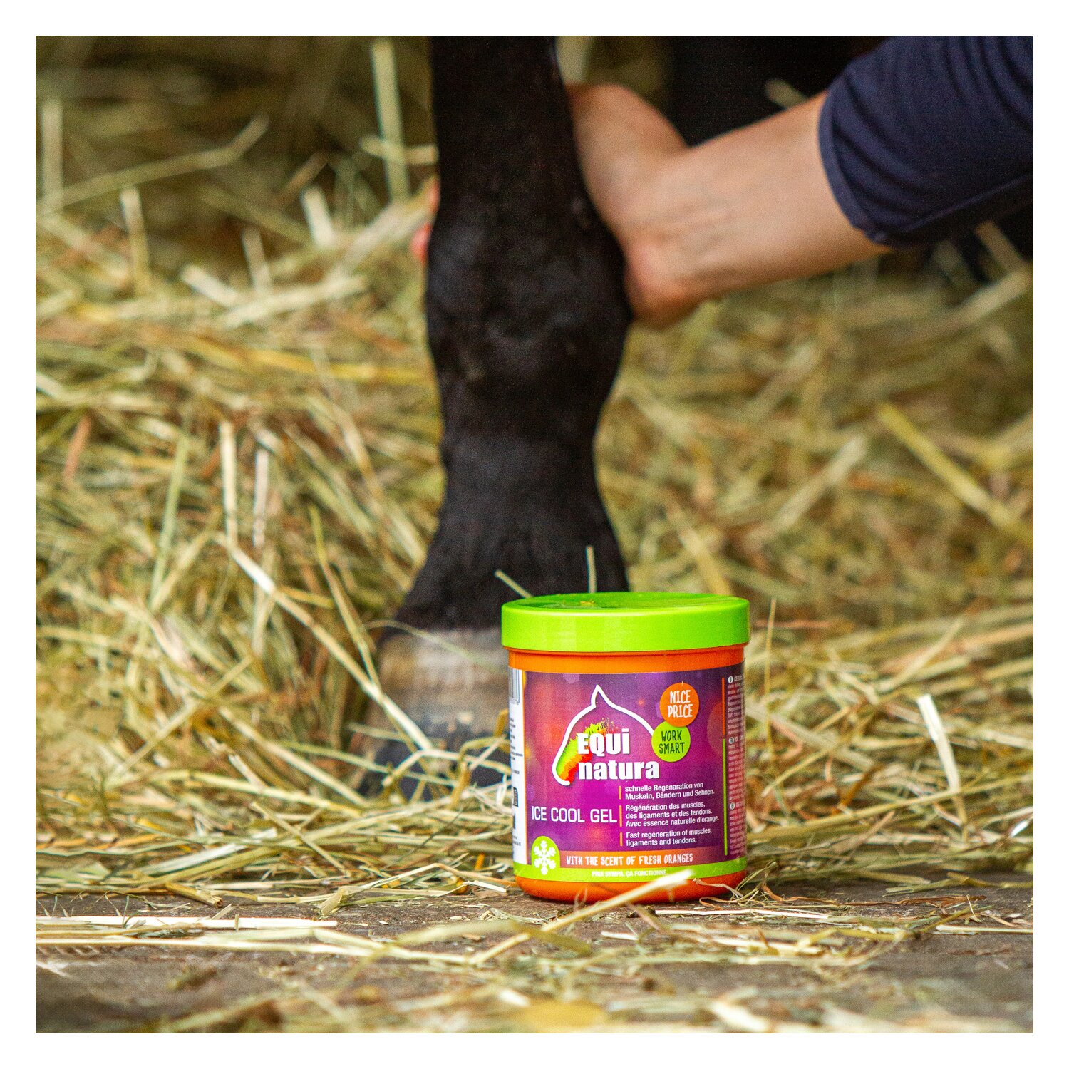 EQUinatura ICE COOL Gel – Ansicht 4