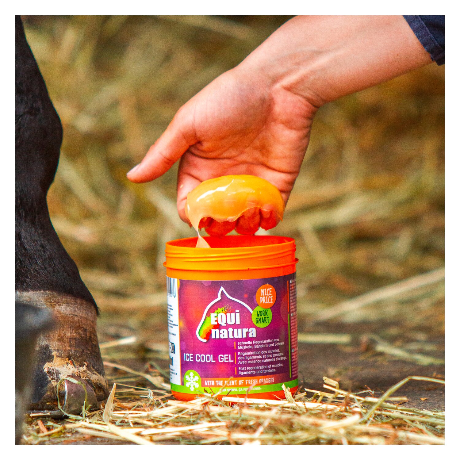EQUinatura ICE COOL Gel – Ansicht 3