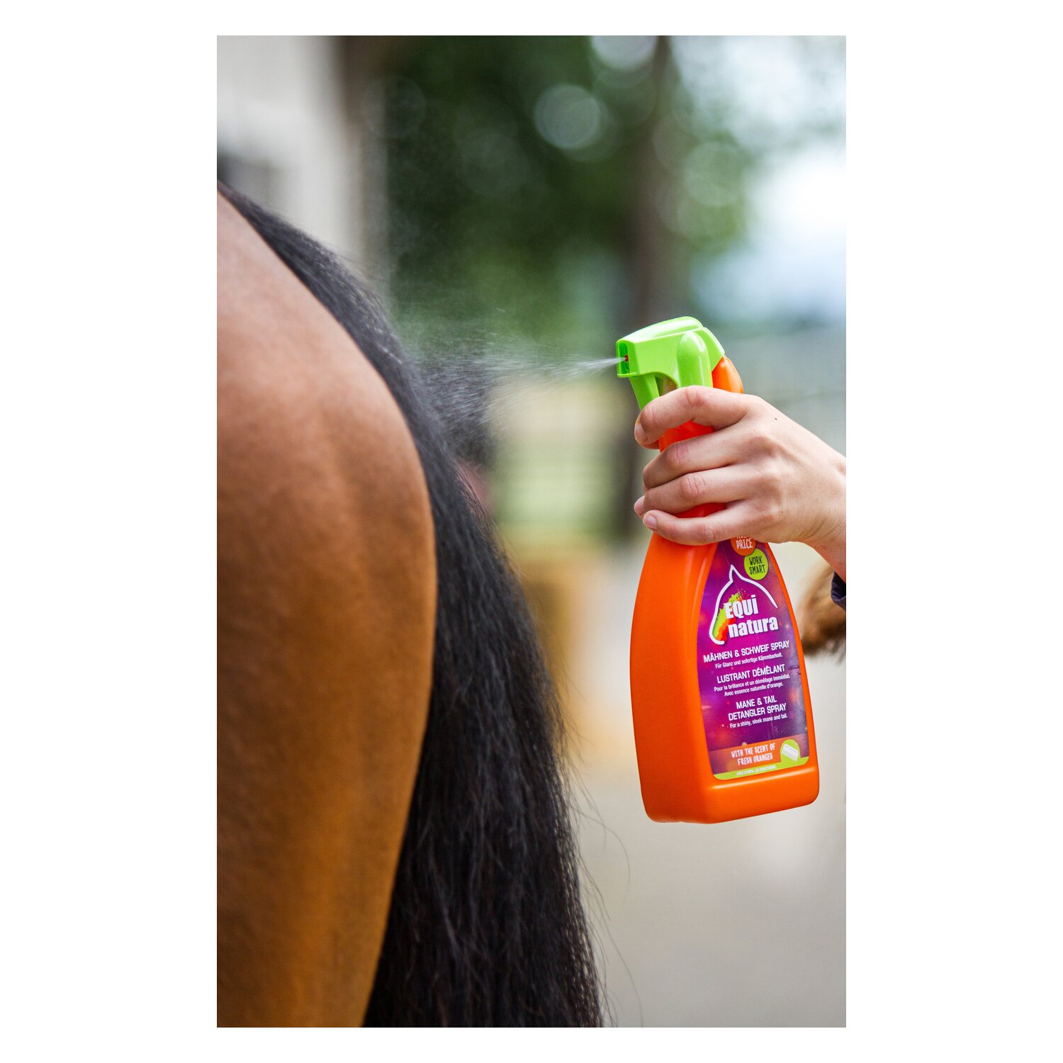 EQUInatura Mähnen- und Schweifspray – Ansicht 3