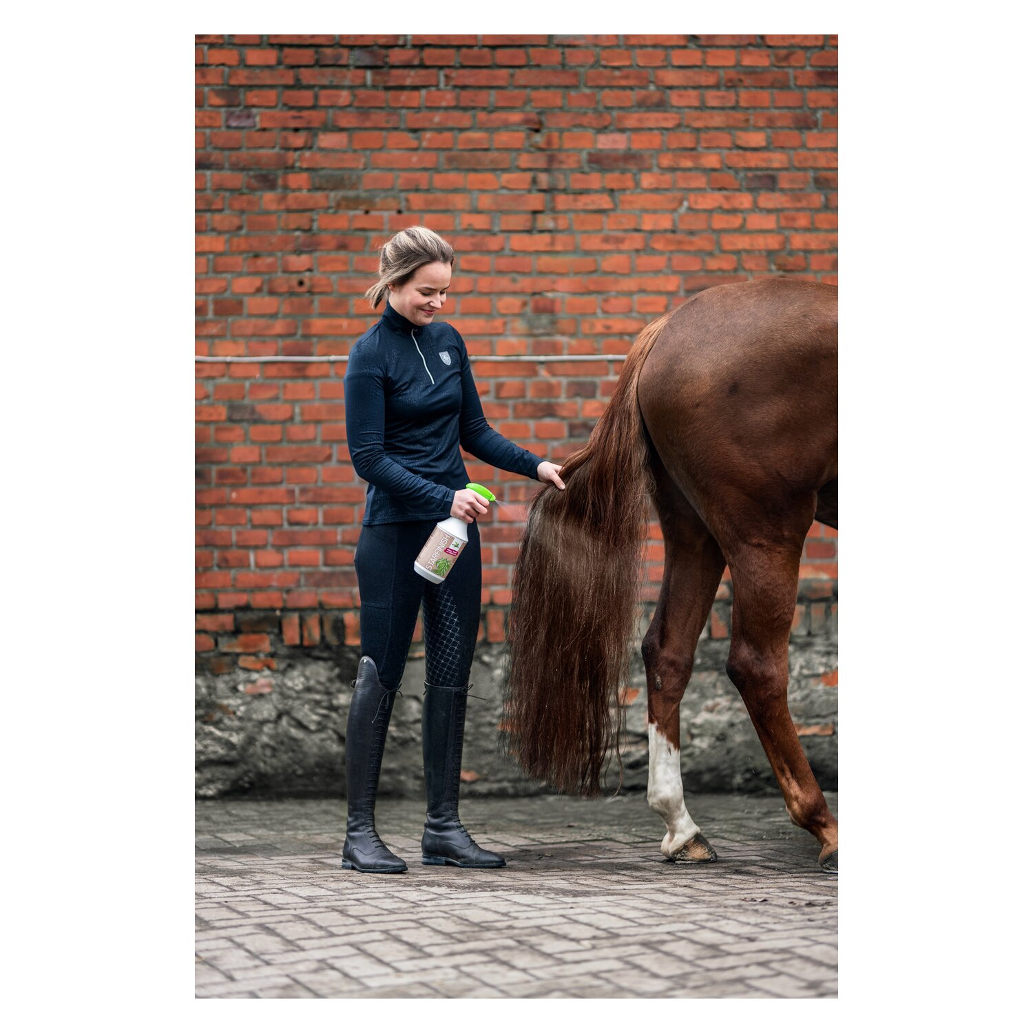BENSE & EICKE Starfinish – Ansicht 4