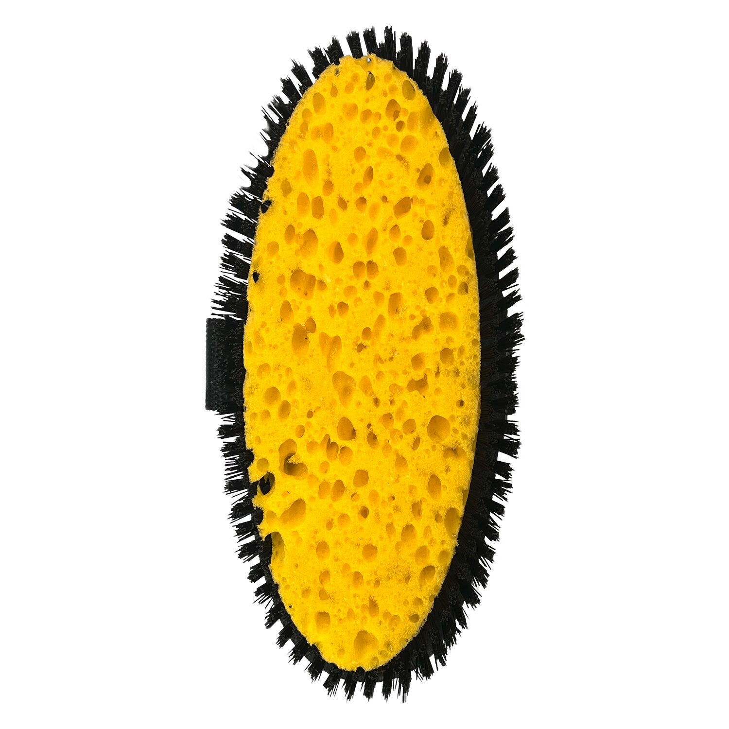 HAAS Kombi-Kardätsche – Ansicht 2