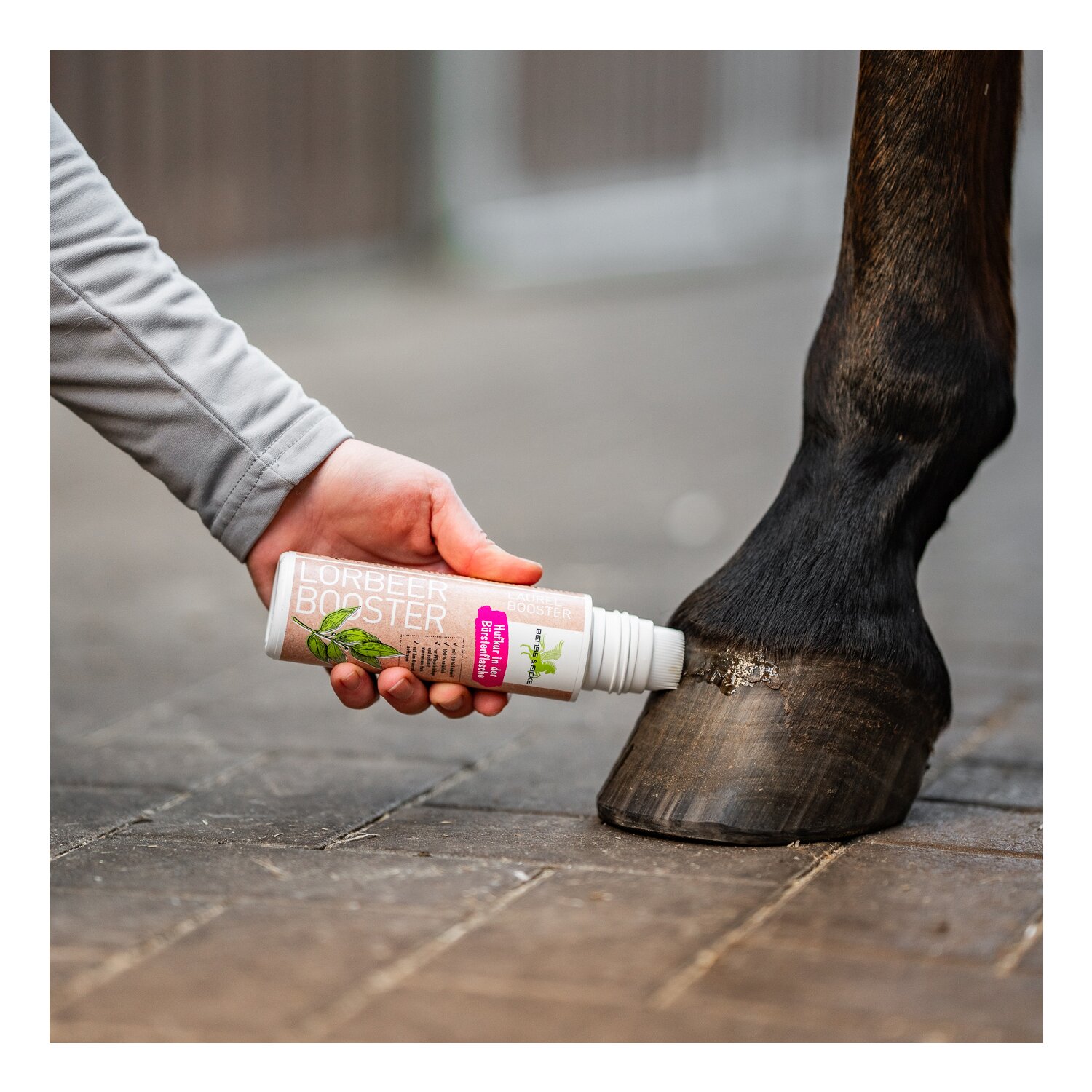 BENSE & EICKE Lorbeer Booster Huföl – Ansicht 2