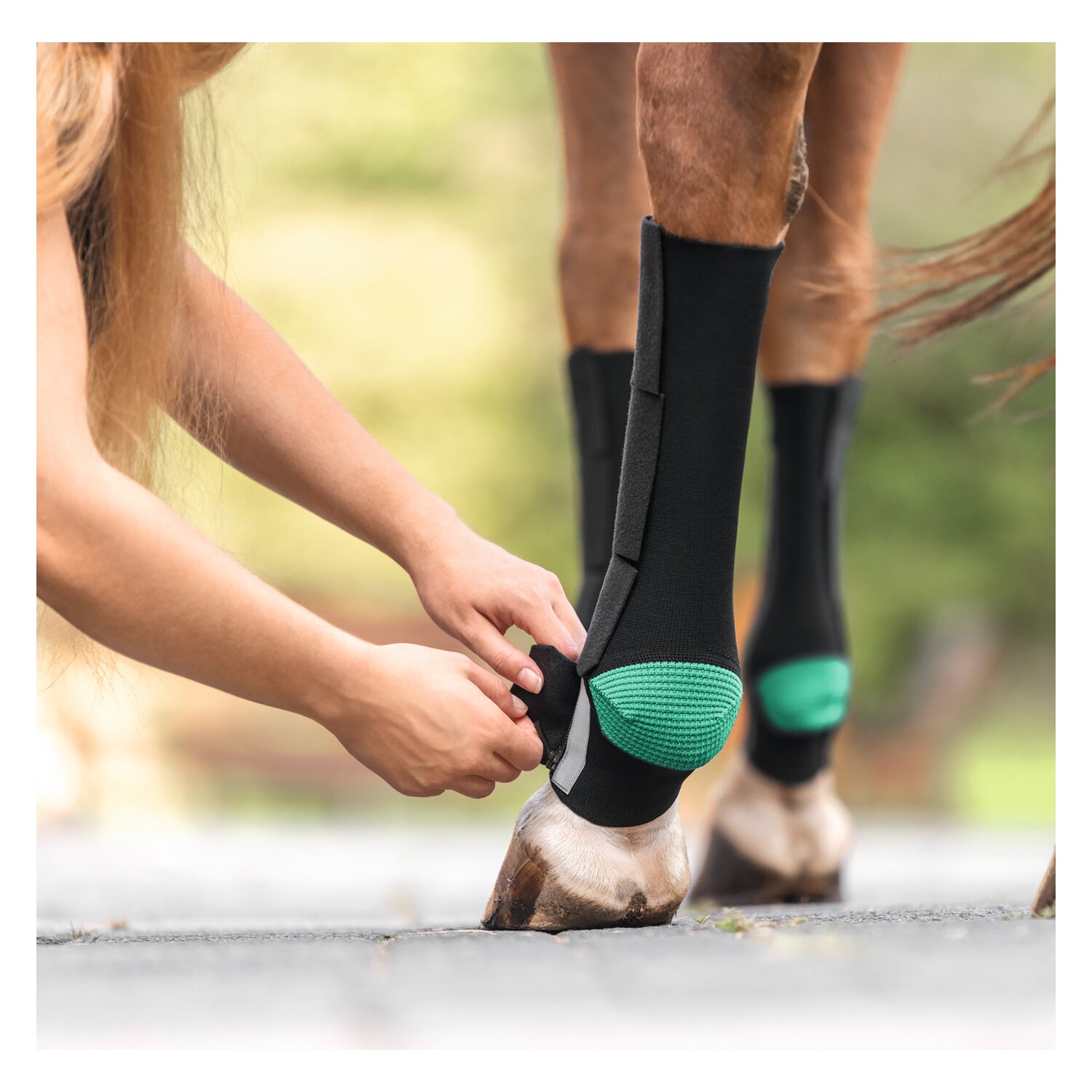 EquiCrown Kompressionsbandage EquiCrown active mit Reißverschluss &ndash; Ansicht 4