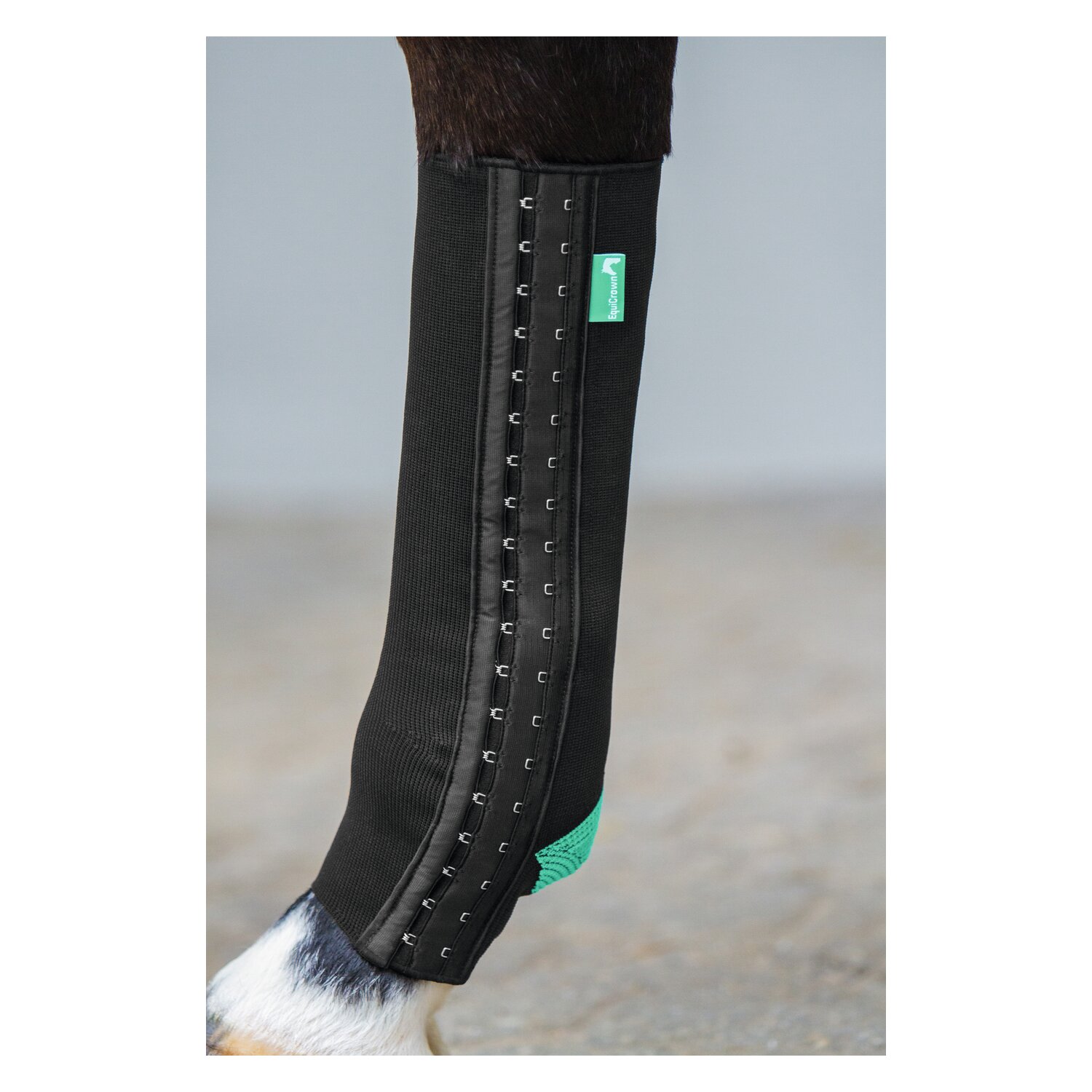 EquiCrown Kompressionsbandage EquiCrown fit mit Hakenverschluss &ndash; Ansicht 5