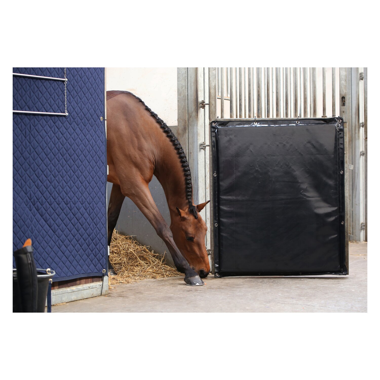 KENTUCKY Kick Pad – Ansicht 2