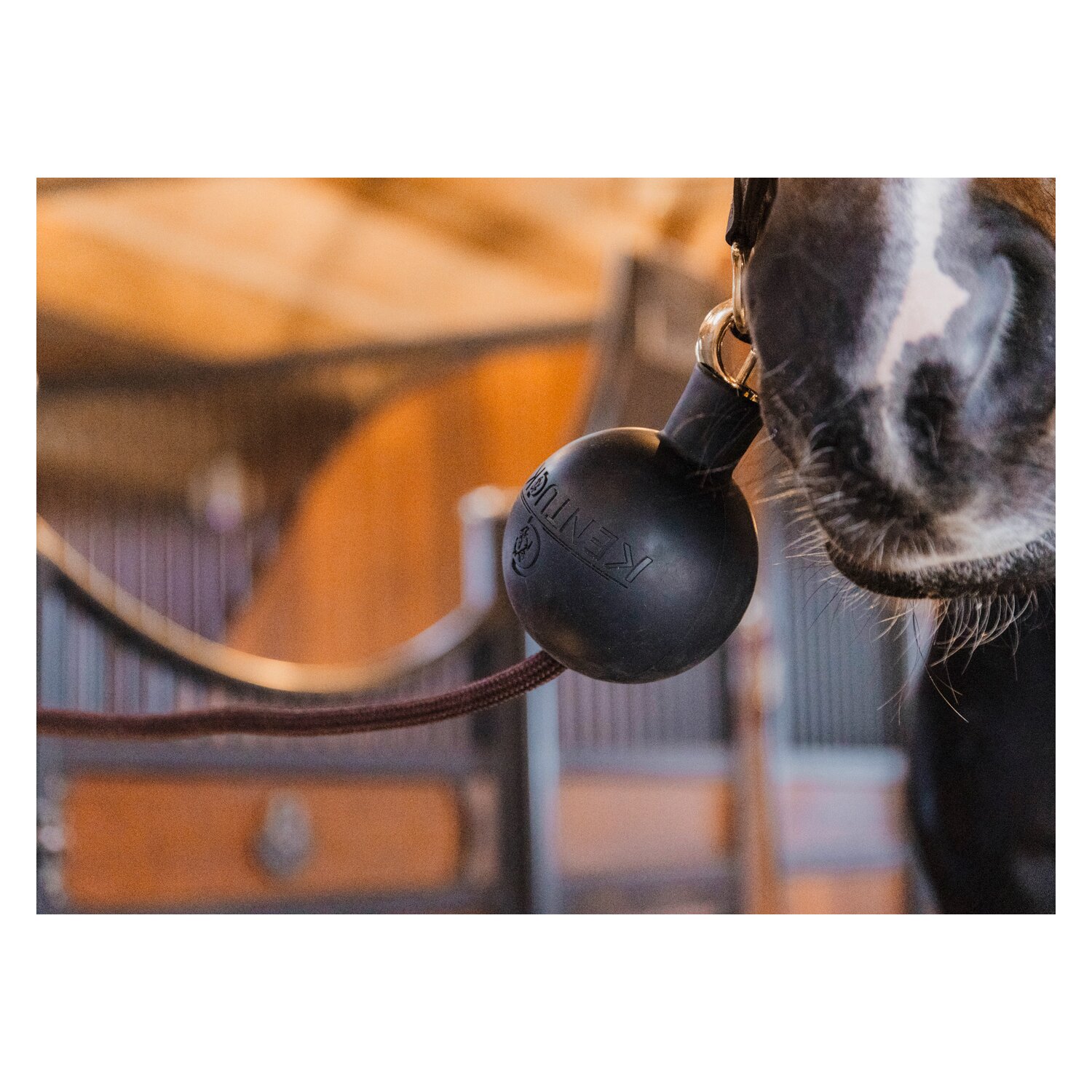 KENTUCKY Strick- und Wandschutzball – Ansicht 2