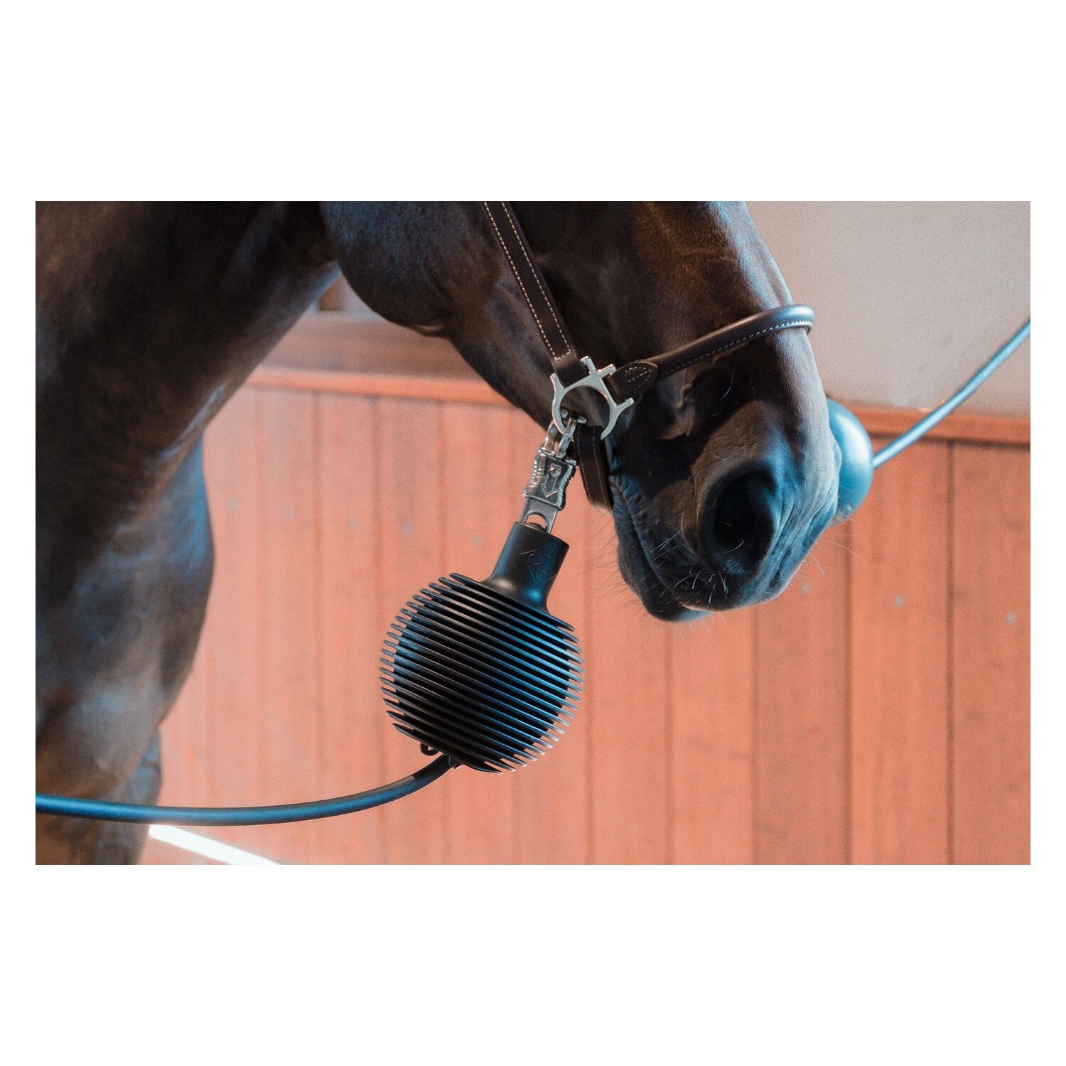 GROOMING DELUXE Strick- und Wandschutz &ndash; Ansicht 6