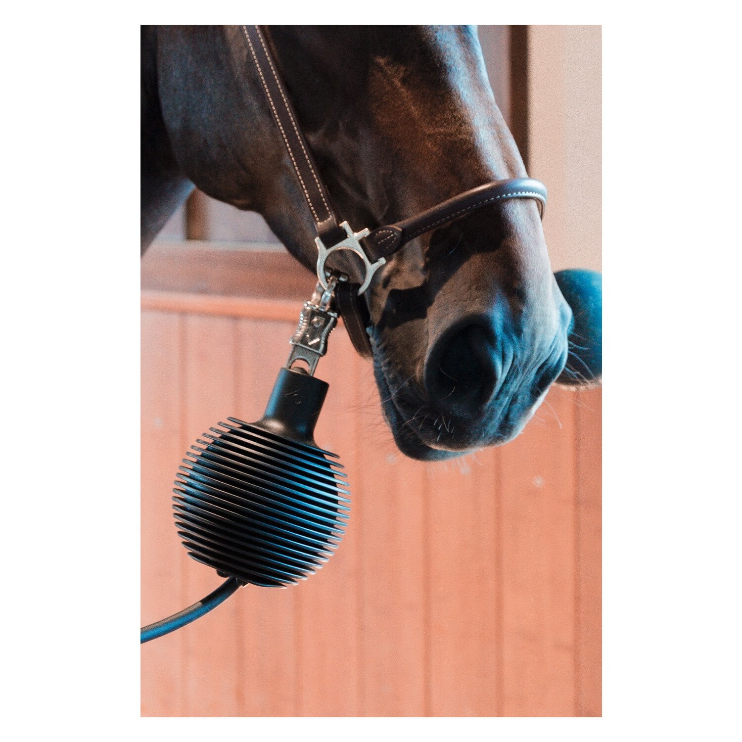 GROOMING DELUXE Strick- und Wandschutz &ndash; Ansicht 7