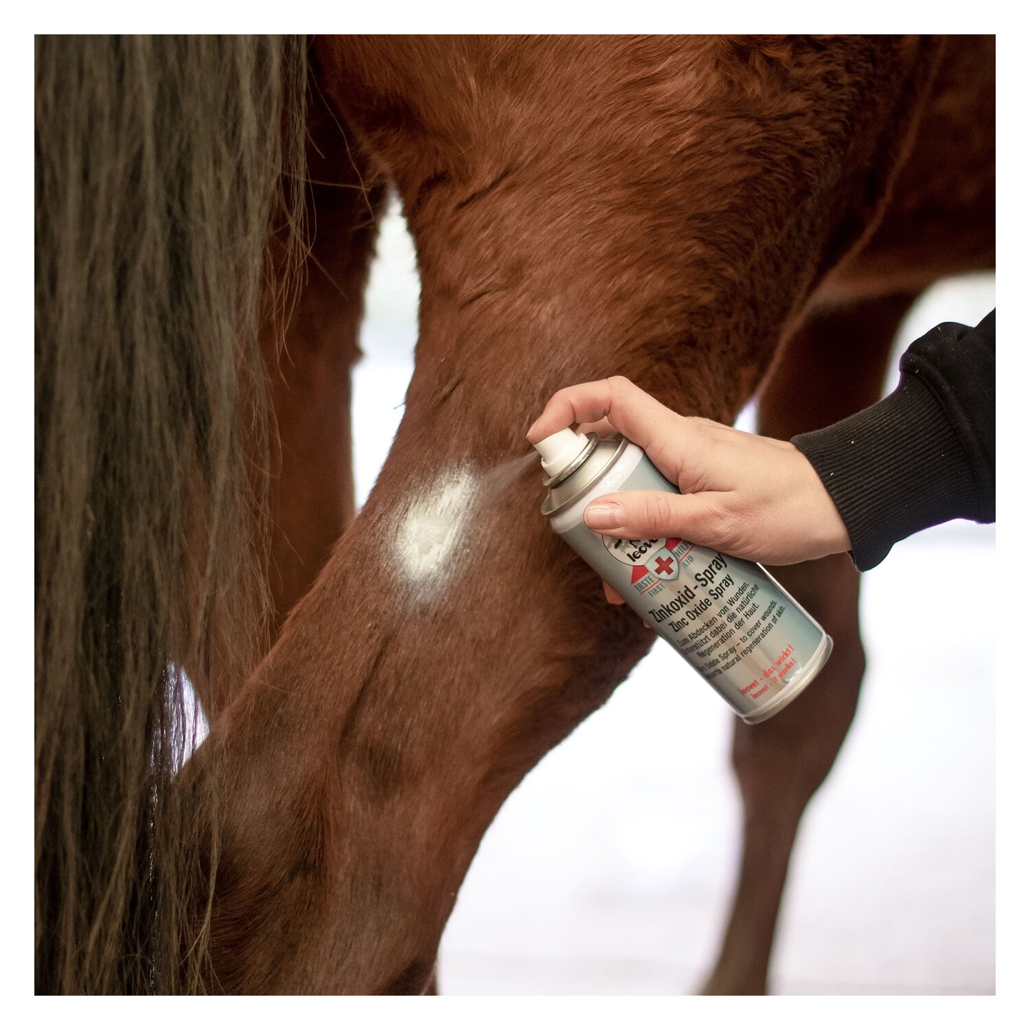 leovet Erste-Hilfe Zinkoxid Spray &ndash; Ansicht 2