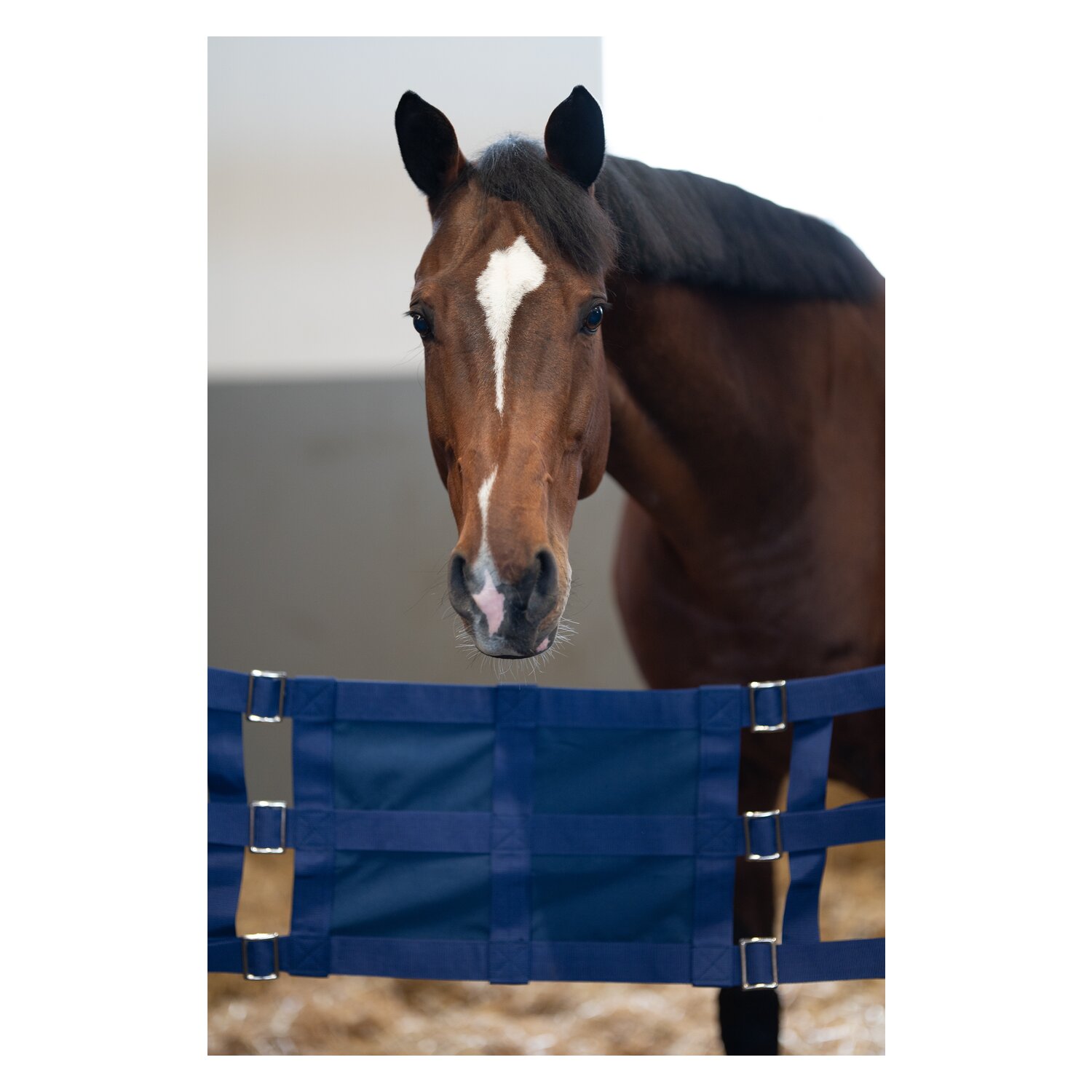 Loesdau Stallguard – Ansicht 3