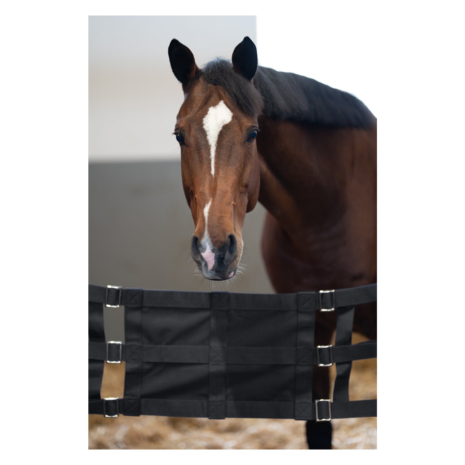Loesdau Stallguard – Ansicht 3