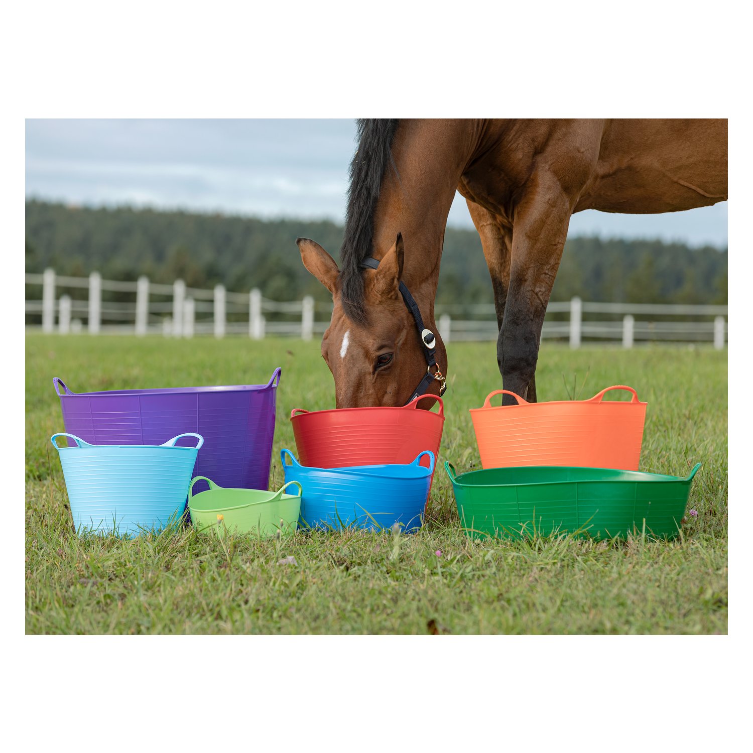 RED GORILLA Flexibler Futtereimer flach – Ansicht 2