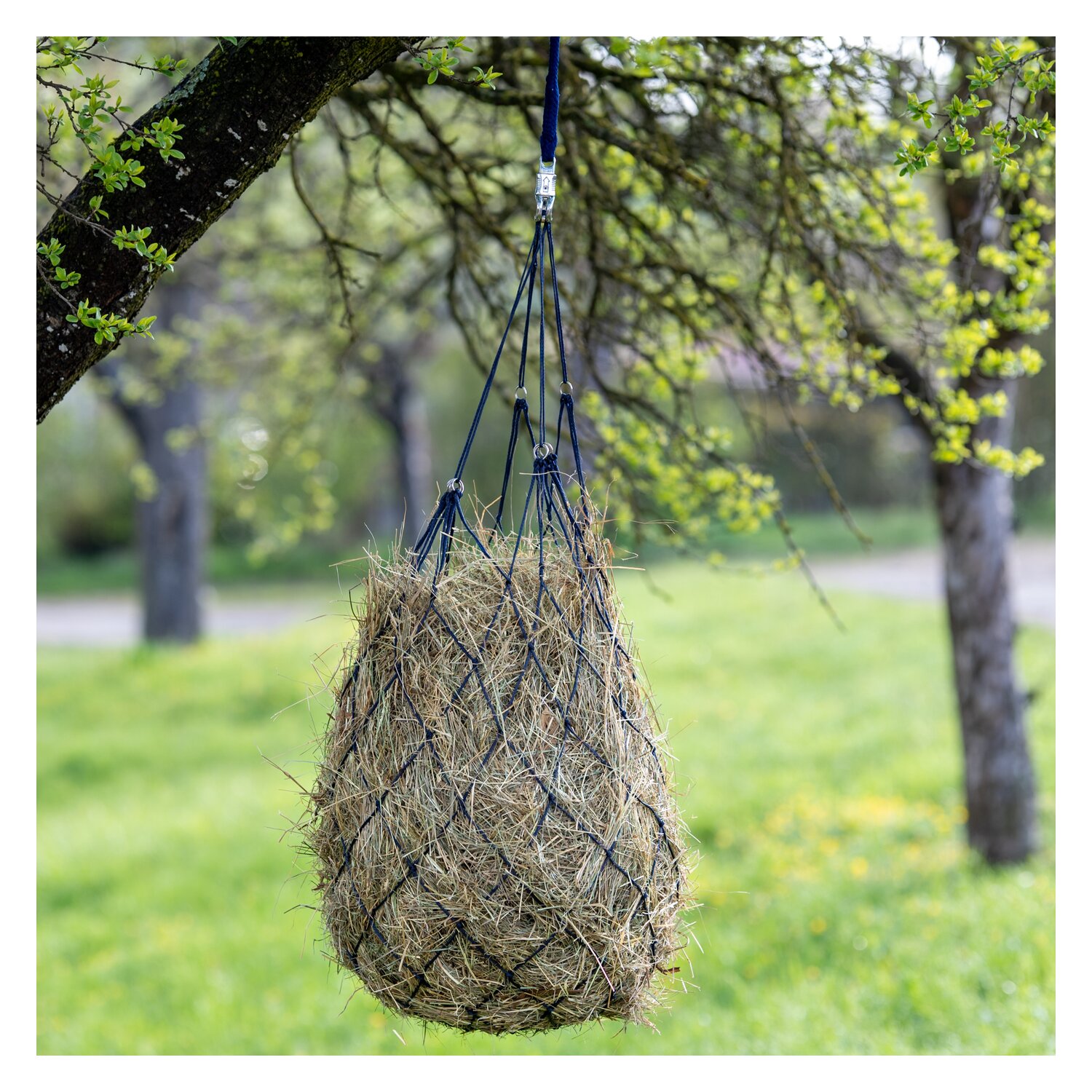 Loesdau Heunetz mit Ringen – Ansicht 2
