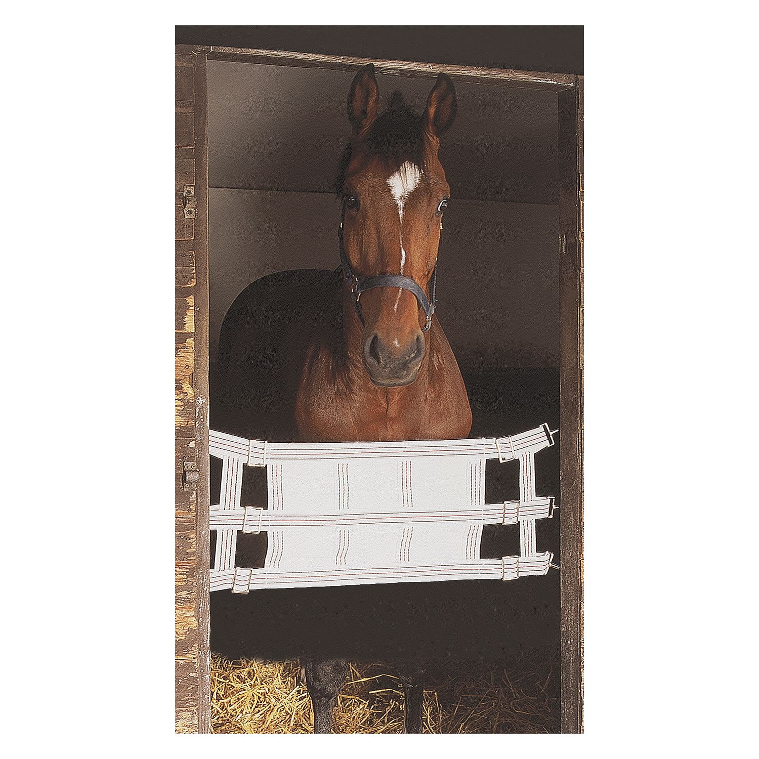 Loesdau Stallguard &ndash; Ansicht 1