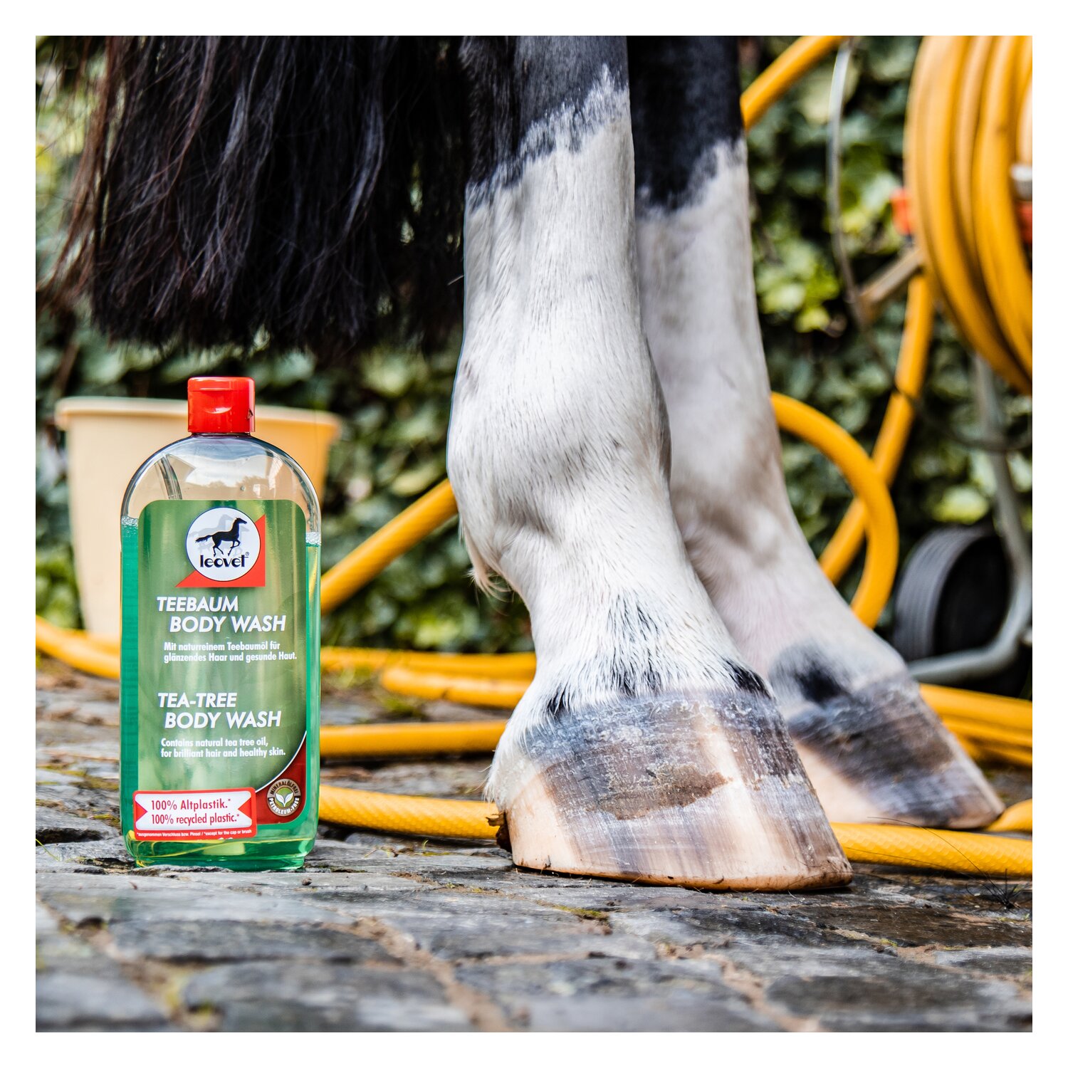 leovet Teebaum body wash – Ansicht 3