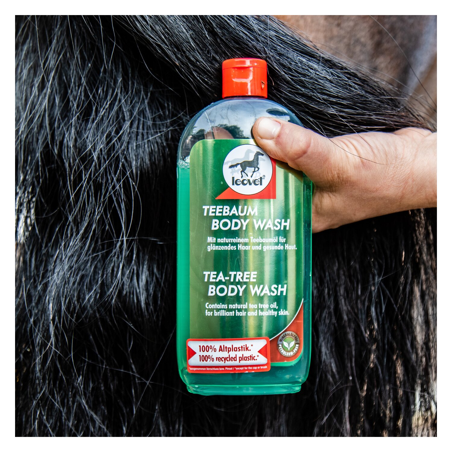 leovet Teebaum body wash – Ansicht 2