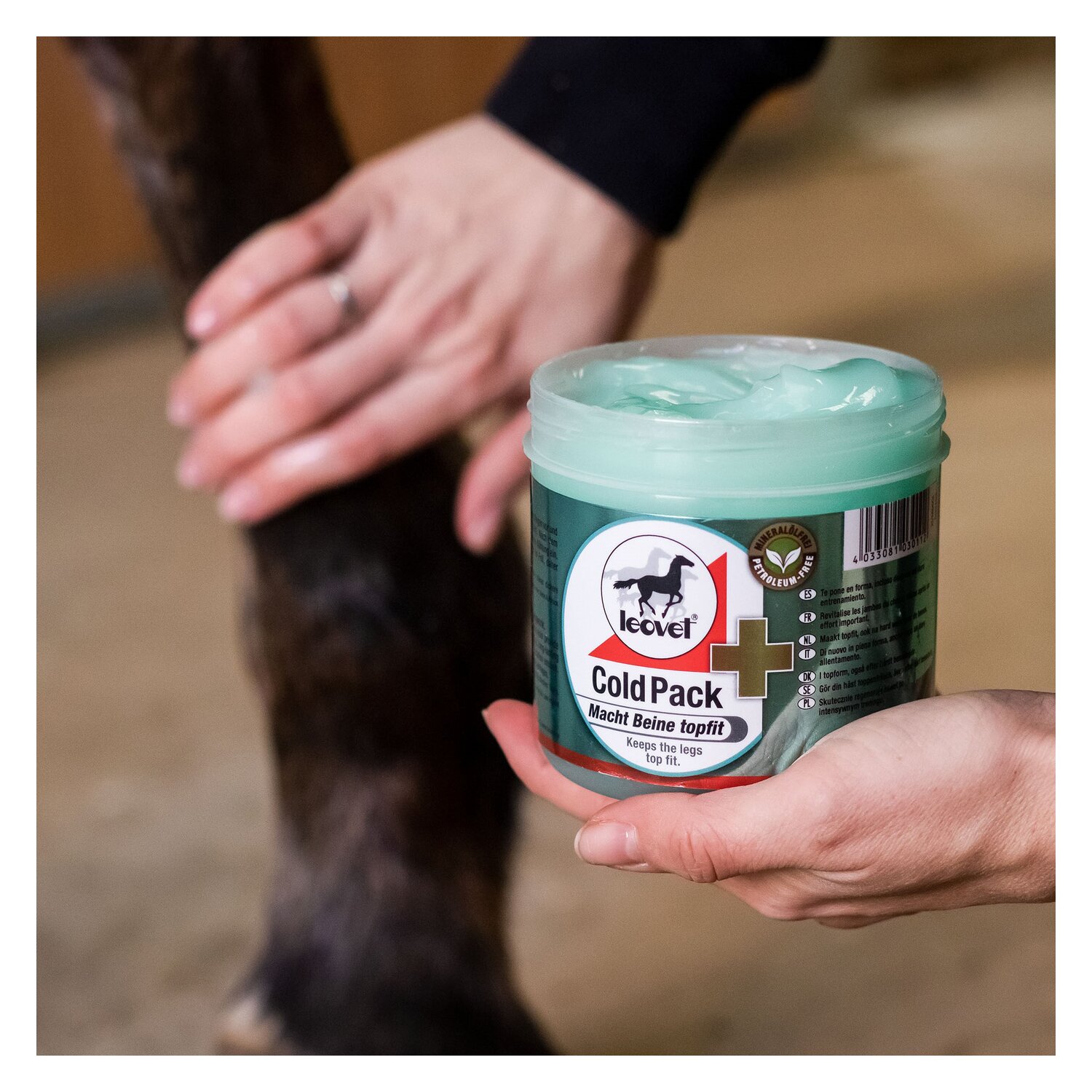 leovet Cold Pack Apothekers Pferdesalbe – Ansicht 4