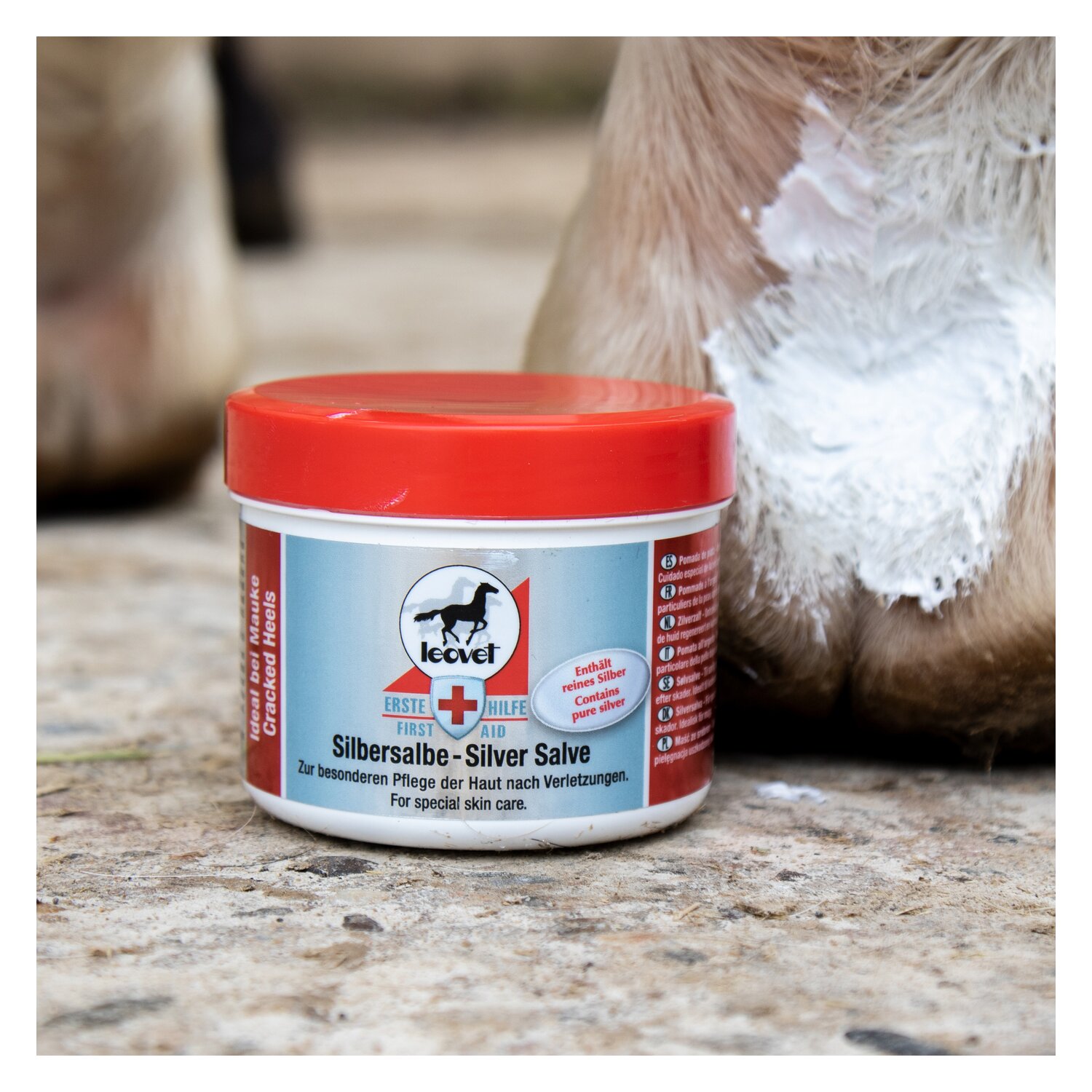 leovet Silbersalbe – Ansicht 2
