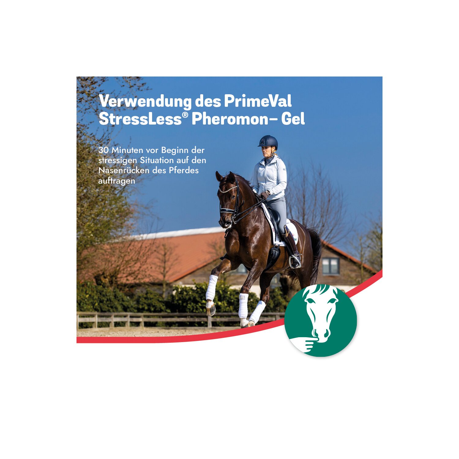 PrimeVal StressLess Pheromon-Gel – Ansicht 5