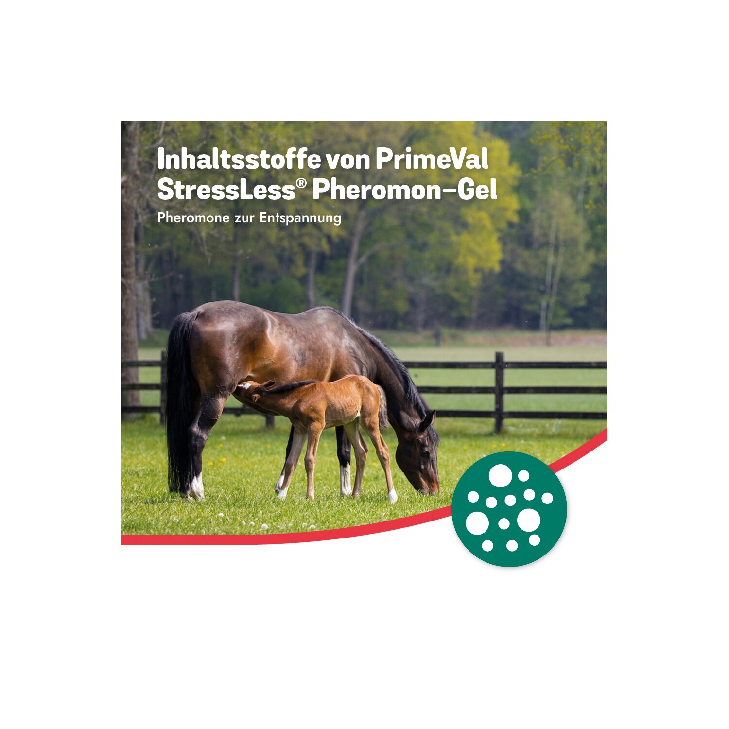 PrimeVal StressLess Pheromon-Gel – Ansicht 6