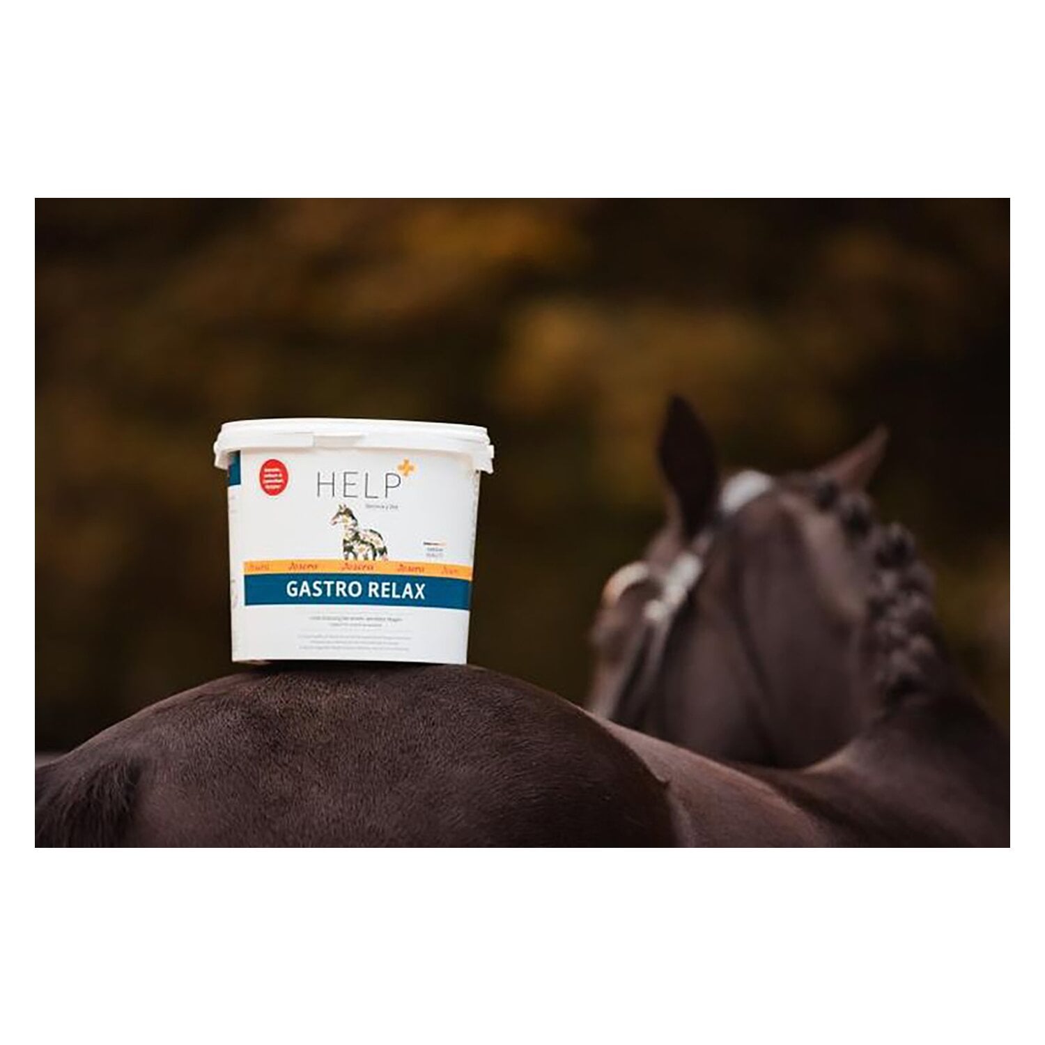 Josera Gastro Relax &ndash; Ansicht 3