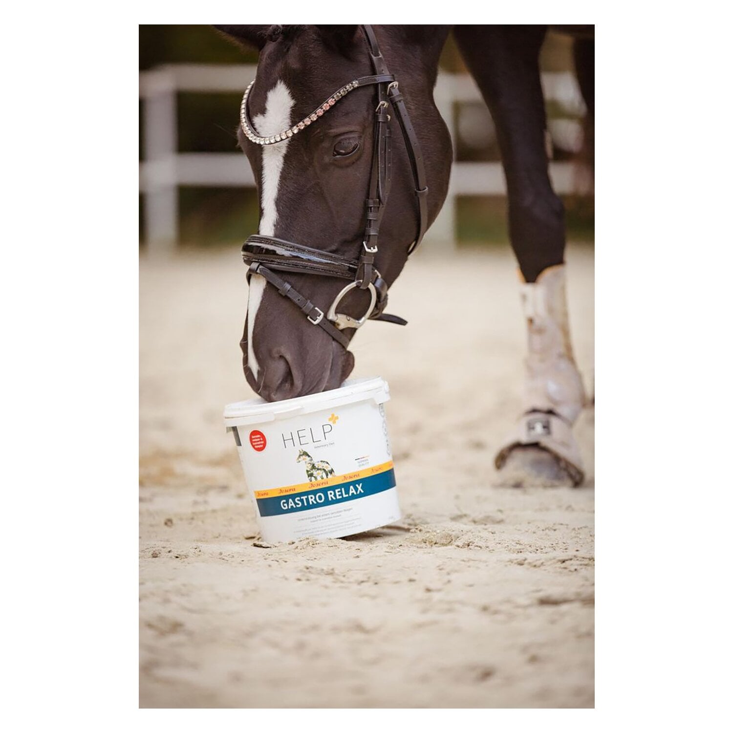 Josera Gastro Relax &ndash; Ansicht 2