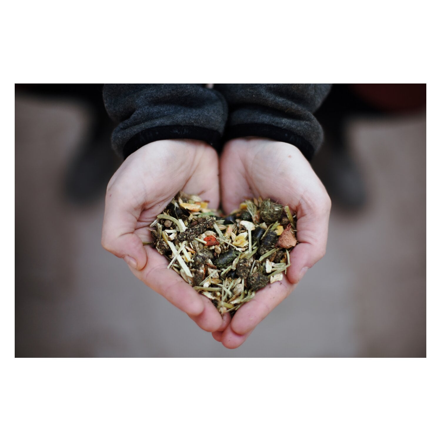 Josera Myogast Struktur &ndash; Ansicht 3