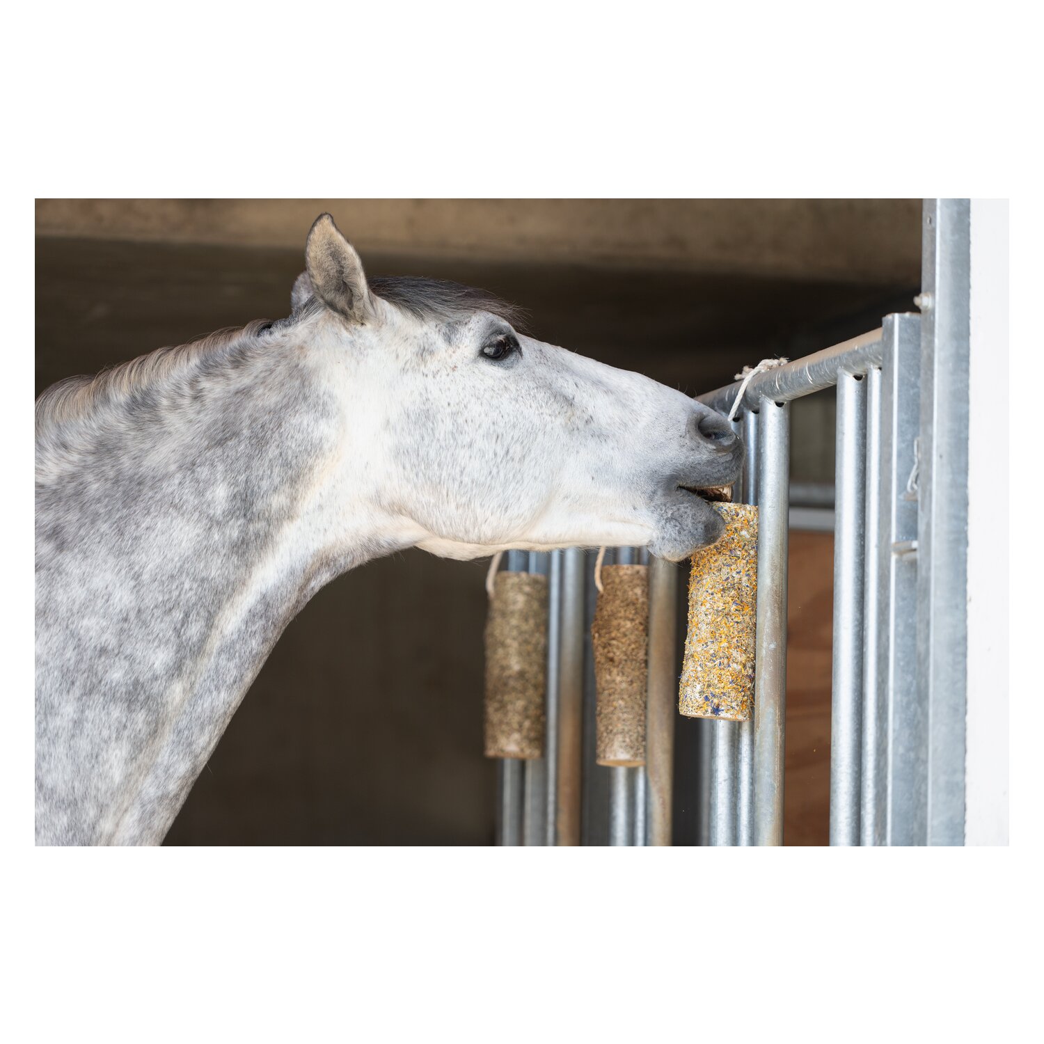 PFERDEfit by Loesdau Knabberholz für Pferde &ndash; Ansicht 4