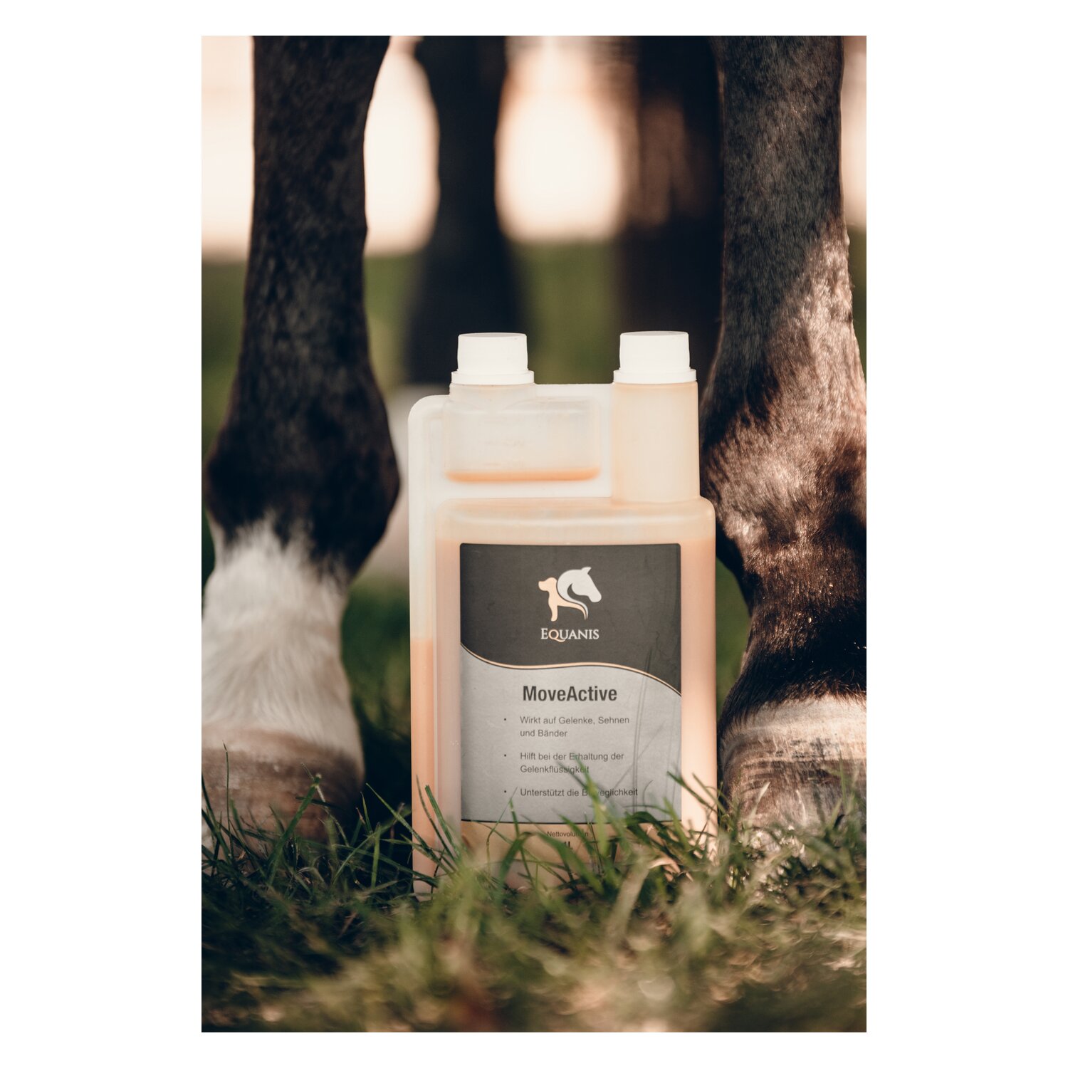 EQUANIS MoveActive &ndash; Ansicht 3