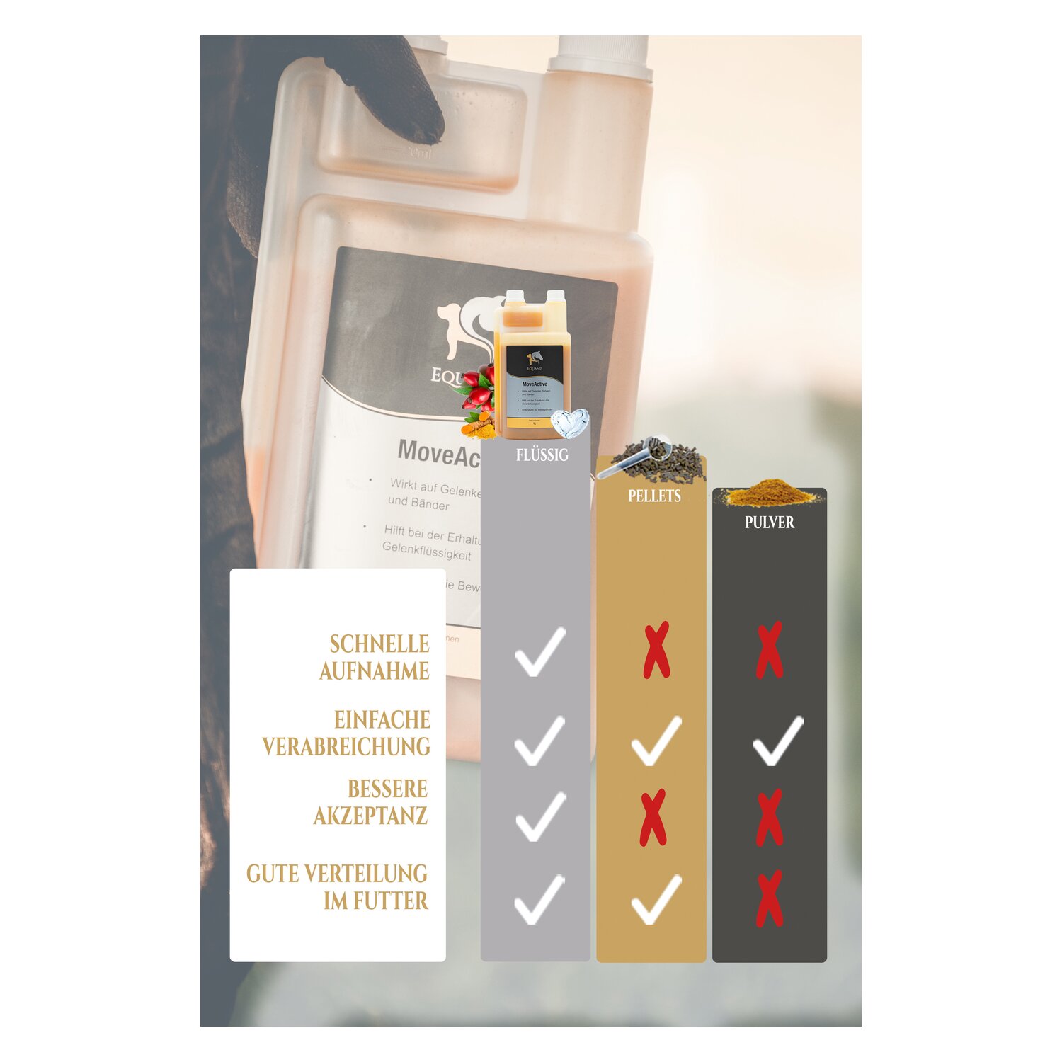 EQUANIS MoveActive &ndash; Ansicht 5